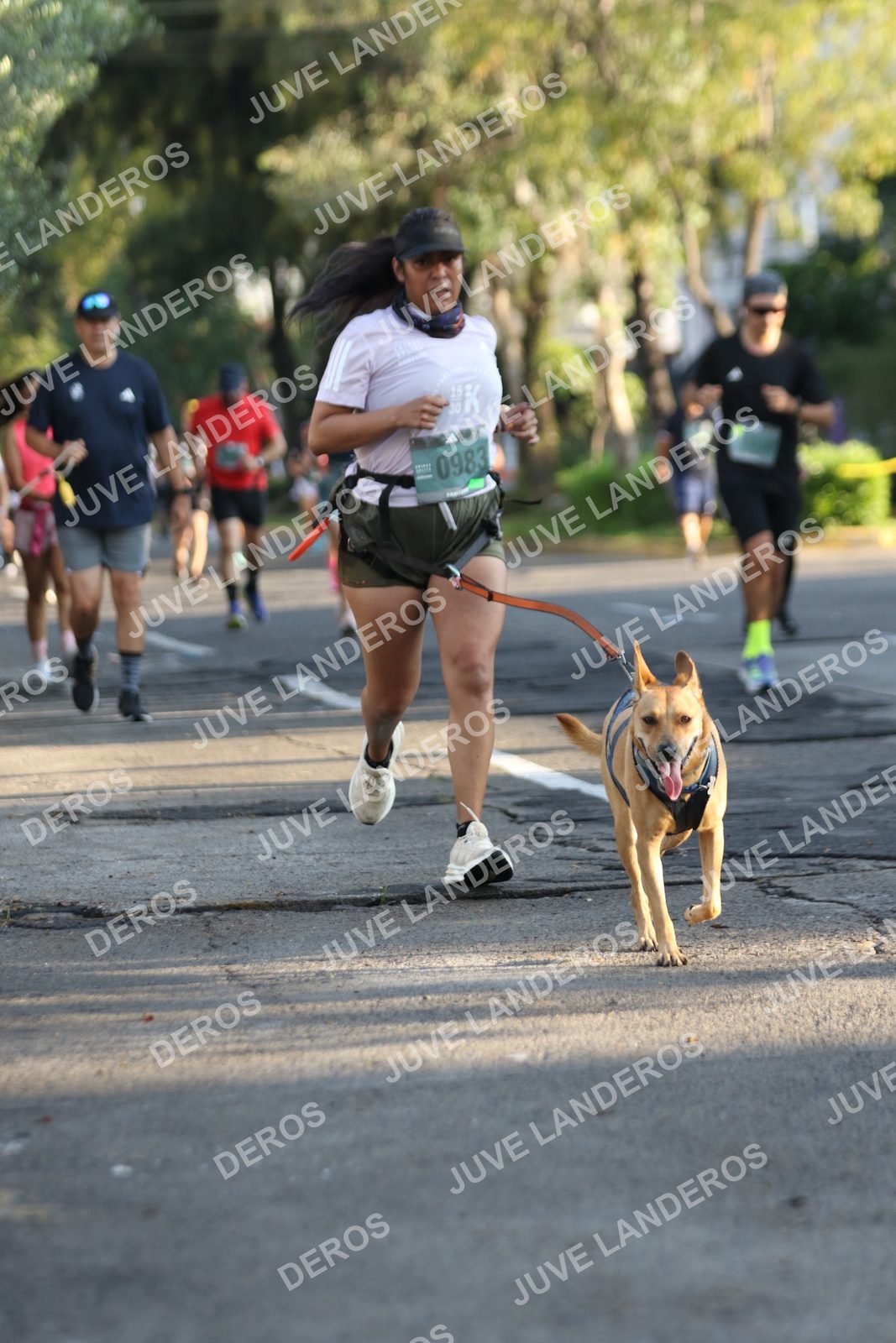 Foto de ADIDAS SPLITS GUADALAJARA 15K / 30K en Av. San Ignacio esquina Av. Ignacio L. Vallarta, Zapopan a las 07:50 · dorsal 983