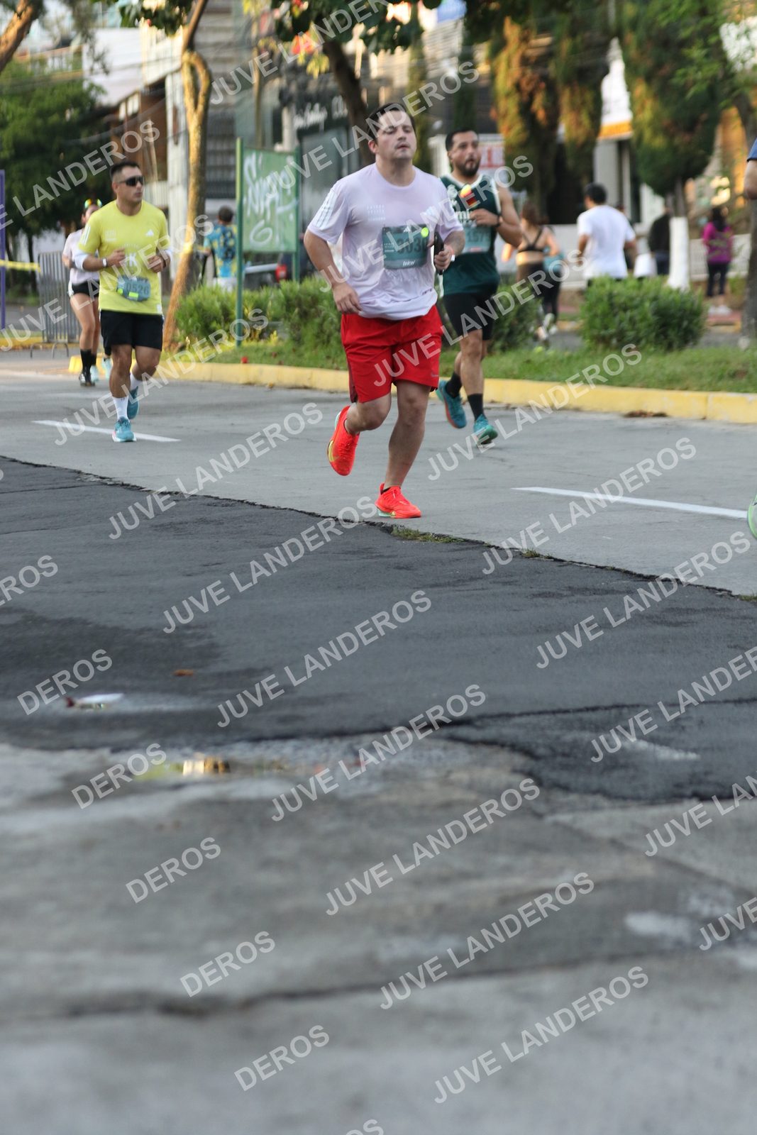 Foto de ADIDAS SPLITS GUADALAJARA 15K / 30K en Av. San Ignacio esquina Av. Ignacio L. Vallarta, Zapopan a las 07:12 · dorsal 303, 526