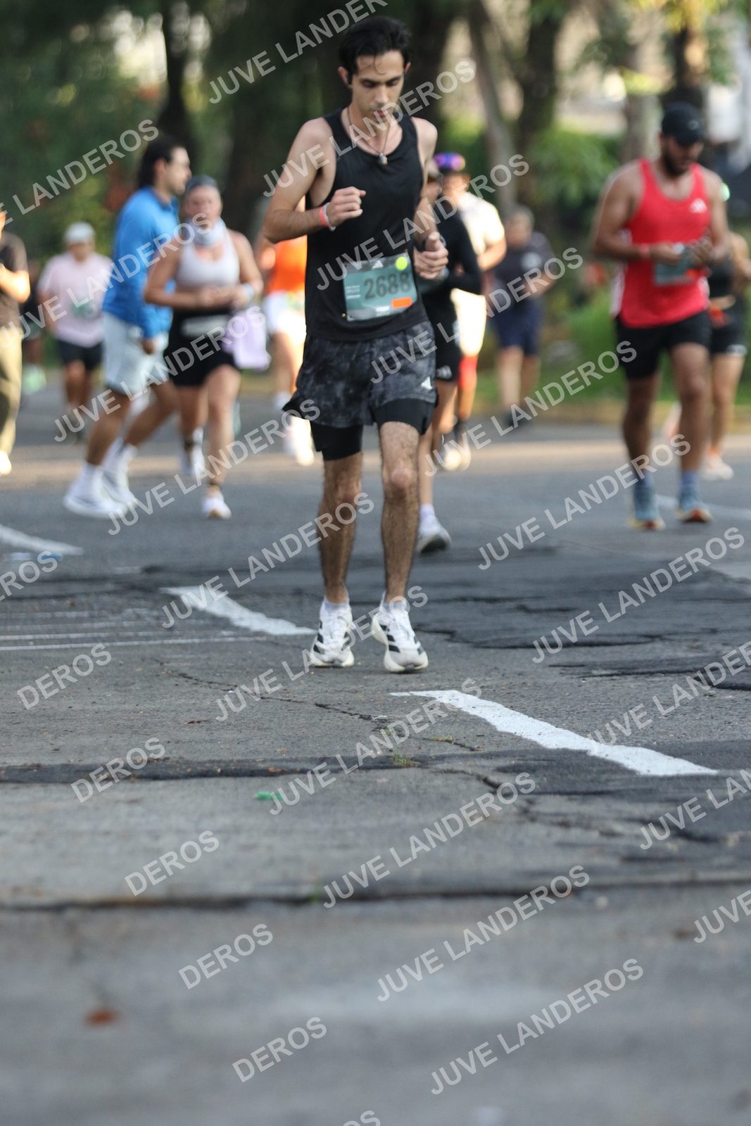 Foto de ADIDAS SPLITS GUADALAJARA 15K / 30K en Av. San Ignacio esquina Av. Ignacio L. Vallarta, Zapopan a las 07:29 · dorsal 2688