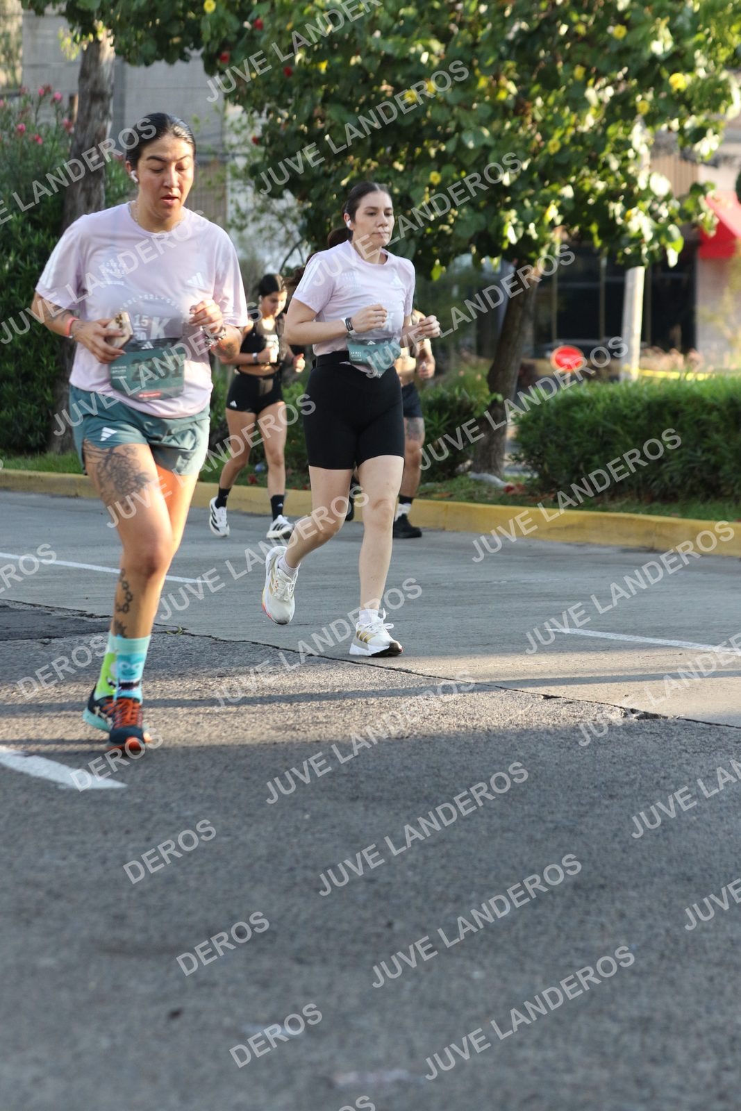 Foto de ADIDAS SPLITS GUADALAJARA 15K / 30K en Av. San Ignacio esquina Av. Ignacio L. Vallarta, Zapopan a las 07:54 · dorsal 2351, 3196, 15