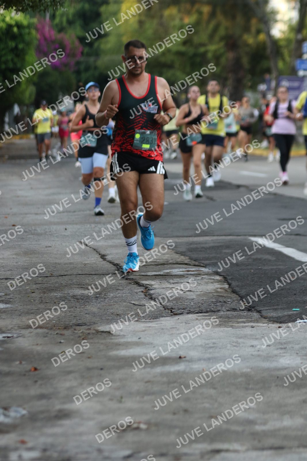 Foto de ADIDAS SPLITS GUADALAJARA 15K / 30K en Av. San Ignacio esquina Av. Ignacio L. Vallarta, Zapopan a las 07:07 · dorsal 2831