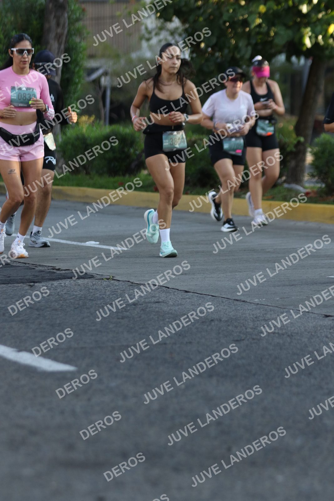 Foto de ADIDAS SPLITS GUADALAJARA 15K / 30K en Av. San Ignacio esquina Av. Ignacio L. Vallarta, Zapopan a las 07:46 · dorsal 3804, 833