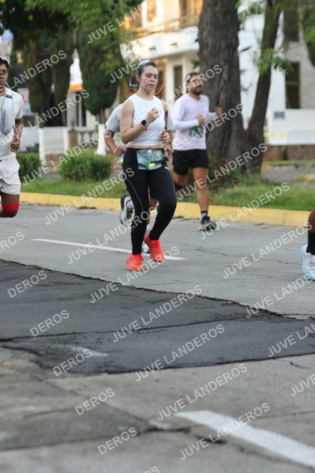 Foto de ADIDAS SPLITS GUADALAJARA 15K / 30K en Av. San Ignacio esquina Av. Ignacio L. Vallarta, Zapopan a las 07:05 · dorsal 3169