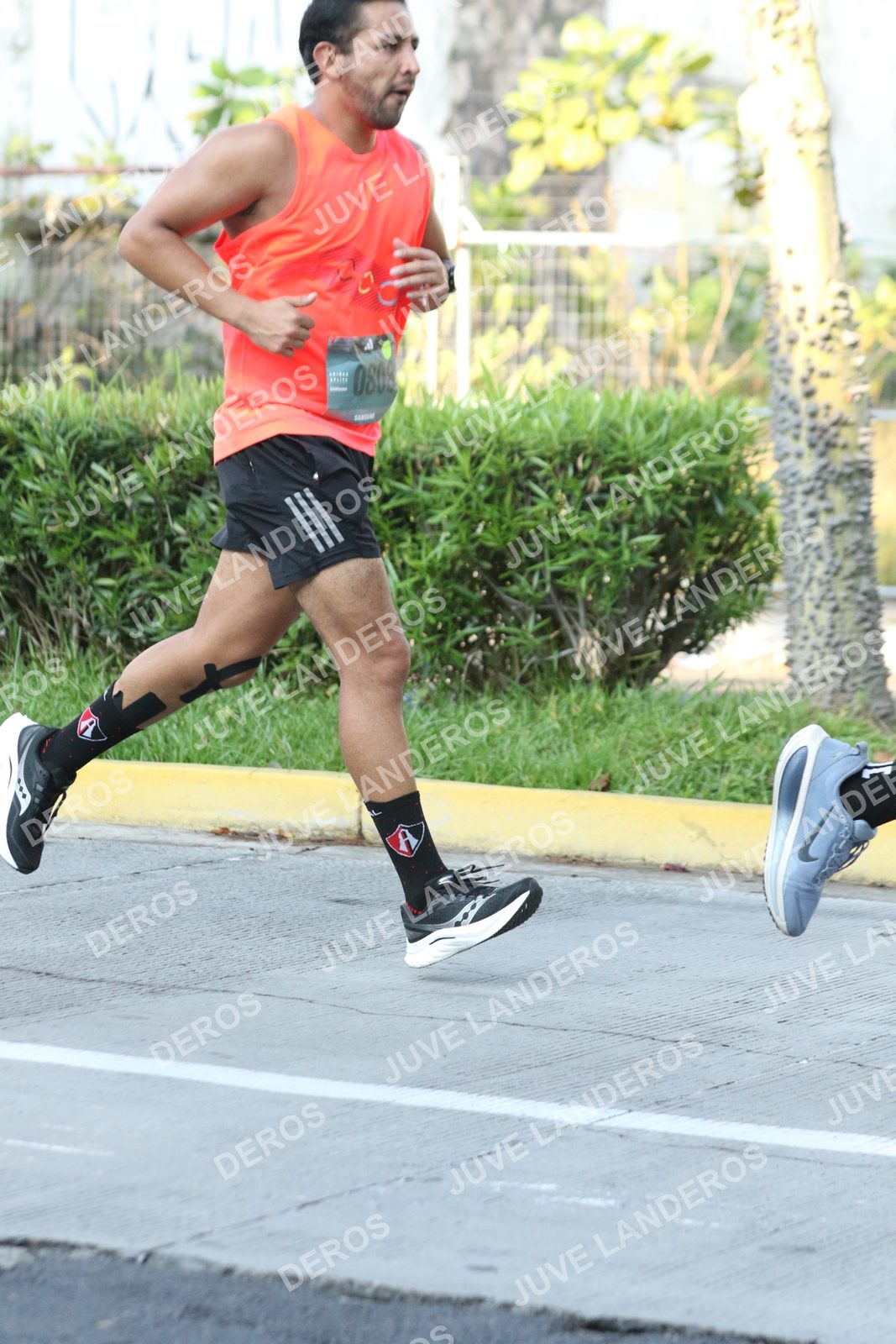 Foto de ADIDAS SPLITS GUADALAJARA 15K / 30K en Av. San Ignacio esquina Av. Ignacio L. Vallarta, Zapopan a las 08:02 · dorsal 808