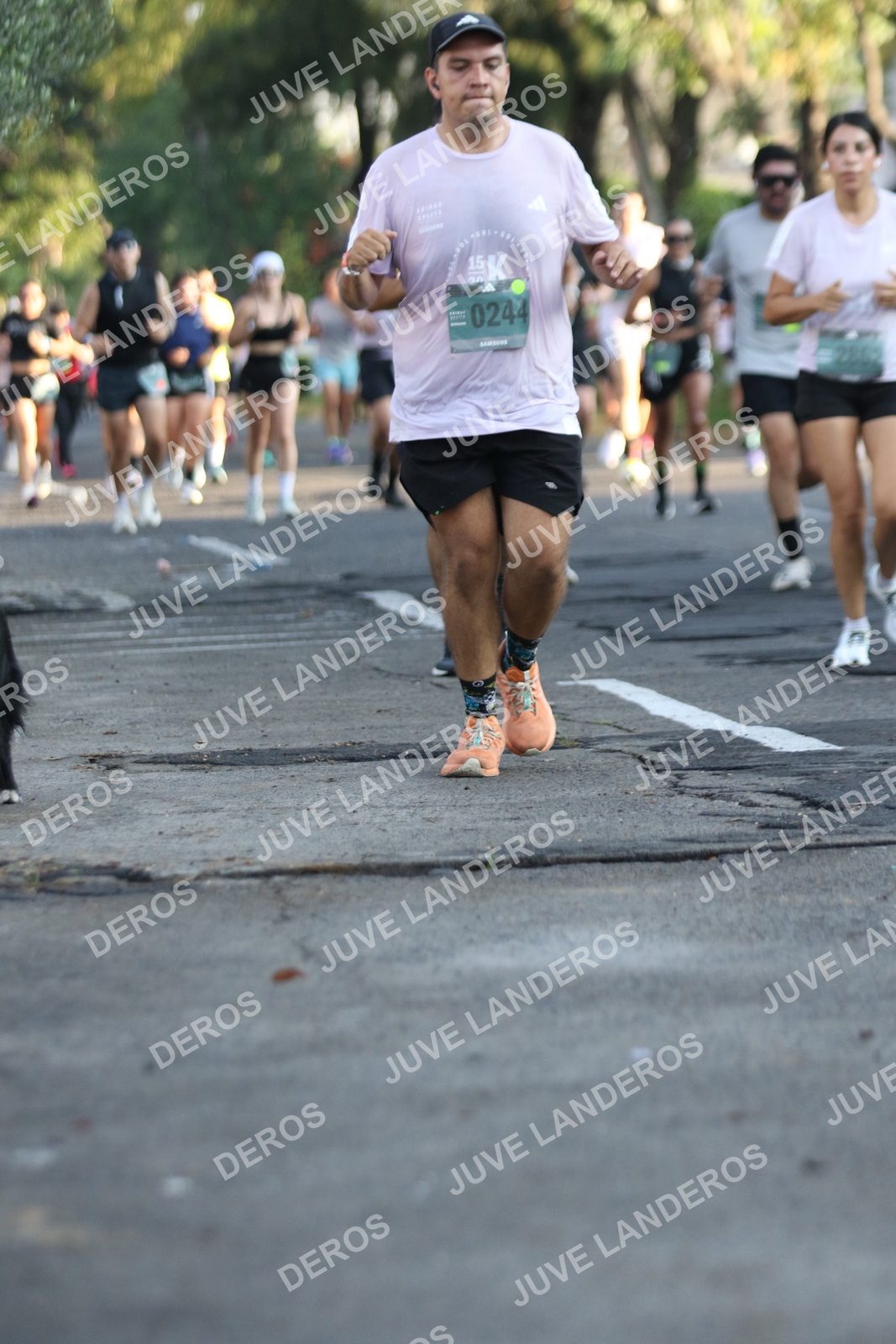 Foto de ADIDAS SPLITS GUADALAJARA 15K / 30K en Av. San Ignacio esquina Av. Ignacio L. Vallarta, Zapopan a las 07:37 · dorsal 244