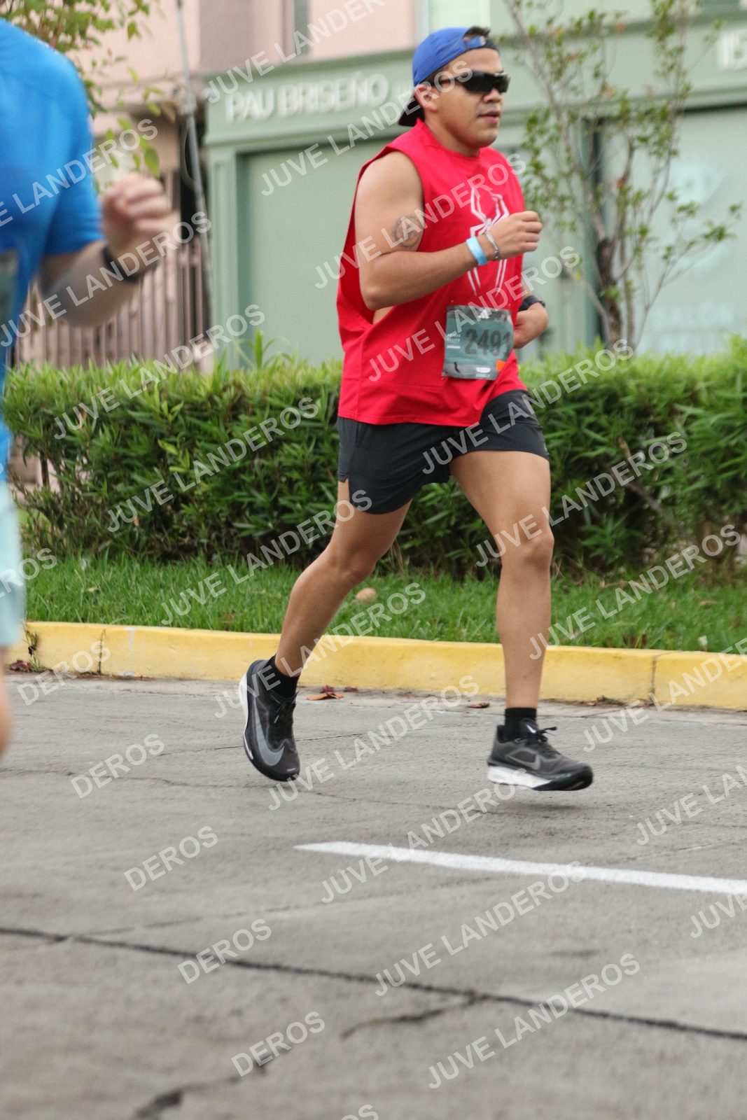 Foto de ADIDAS SPLITS GUADALAJARA 15K / 30K en Av. San Ignacio esquina Av. Ignacio L. Vallarta, Zapopan a las 06:53 · dorsal 2491