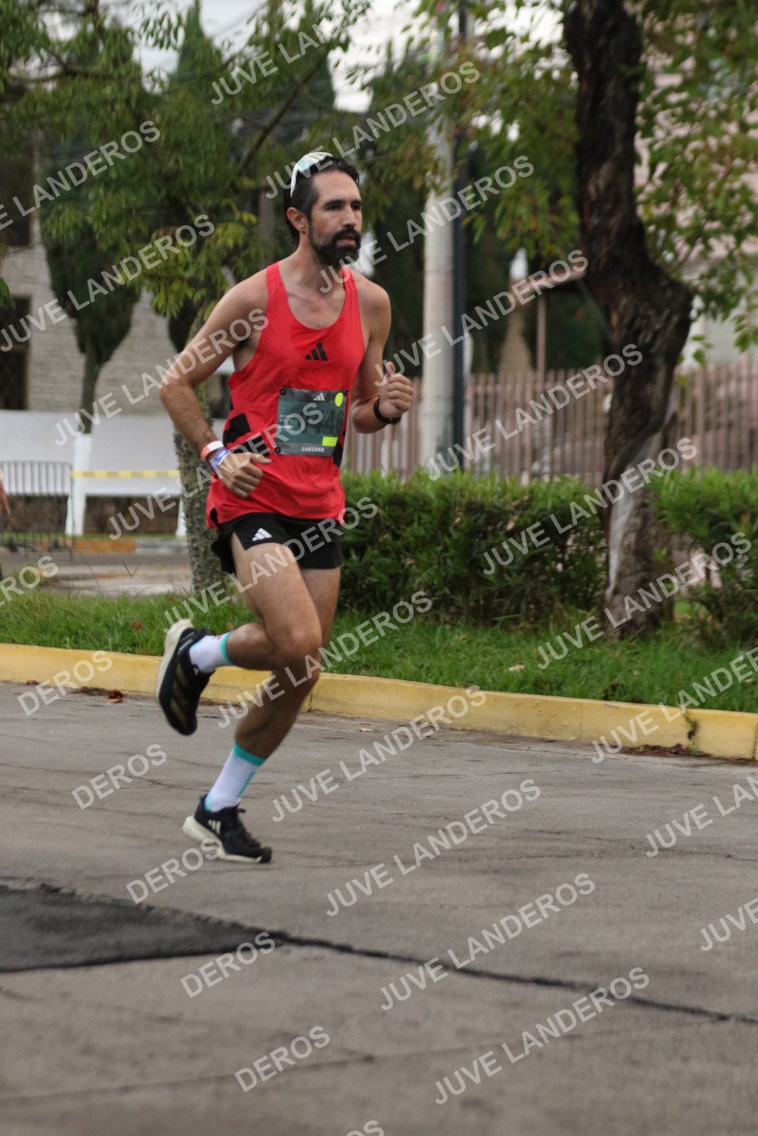 Foto de ADIDAS SPLITS GUADALAJARA 15K / 30K en Av. San Ignacio esquina Av. Ignacio L. Vallarta, Zapopan a las 06:47 · dorsal 446