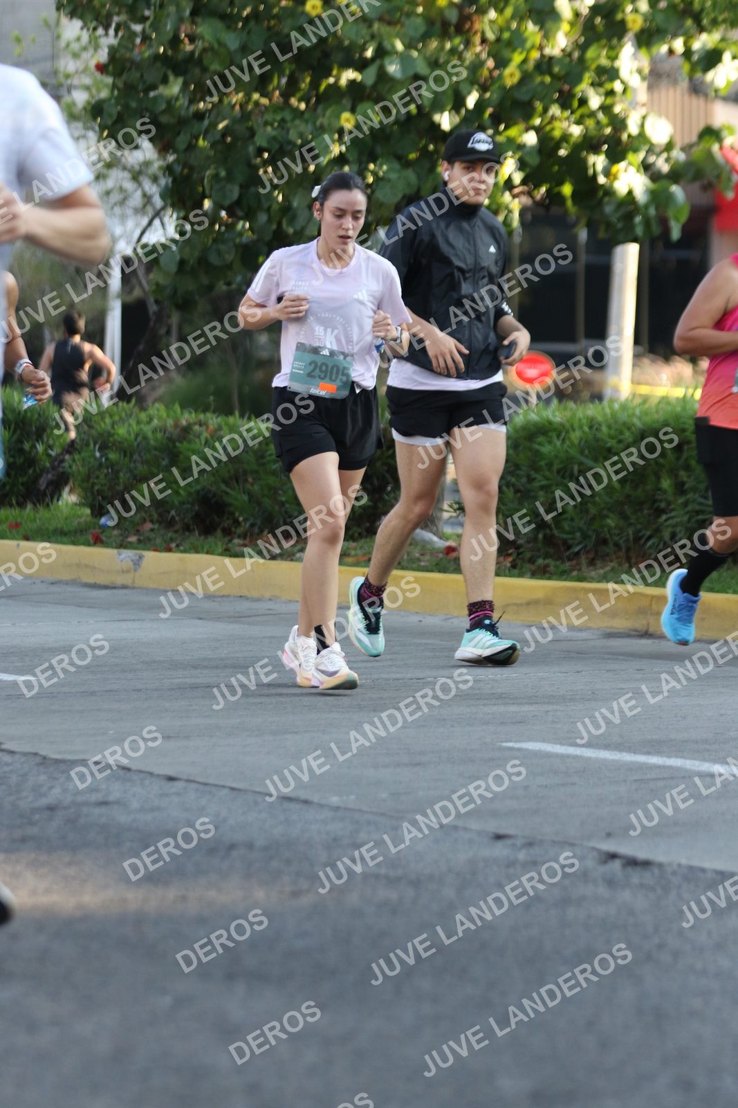 Foto de ADIDAS SPLITS GUADALAJARA 15K / 30K en Av. San Ignacio esquina Av. Ignacio L. Vallarta, Zapopan a las 07:49 · dorsal 2905