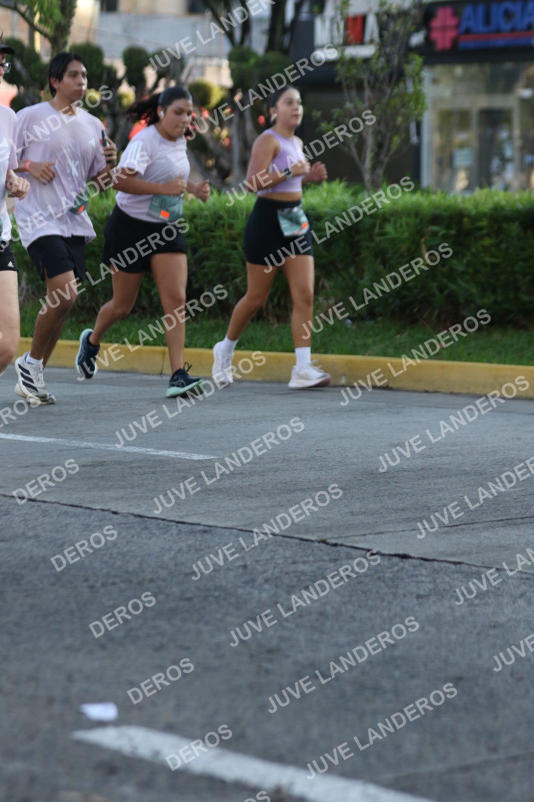 Foto de ADIDAS SPLITS GUADALAJARA 15K / 30K en Av. San Ignacio esquina Av. Ignacio L. Vallarta, Zapopan a las 07:42
