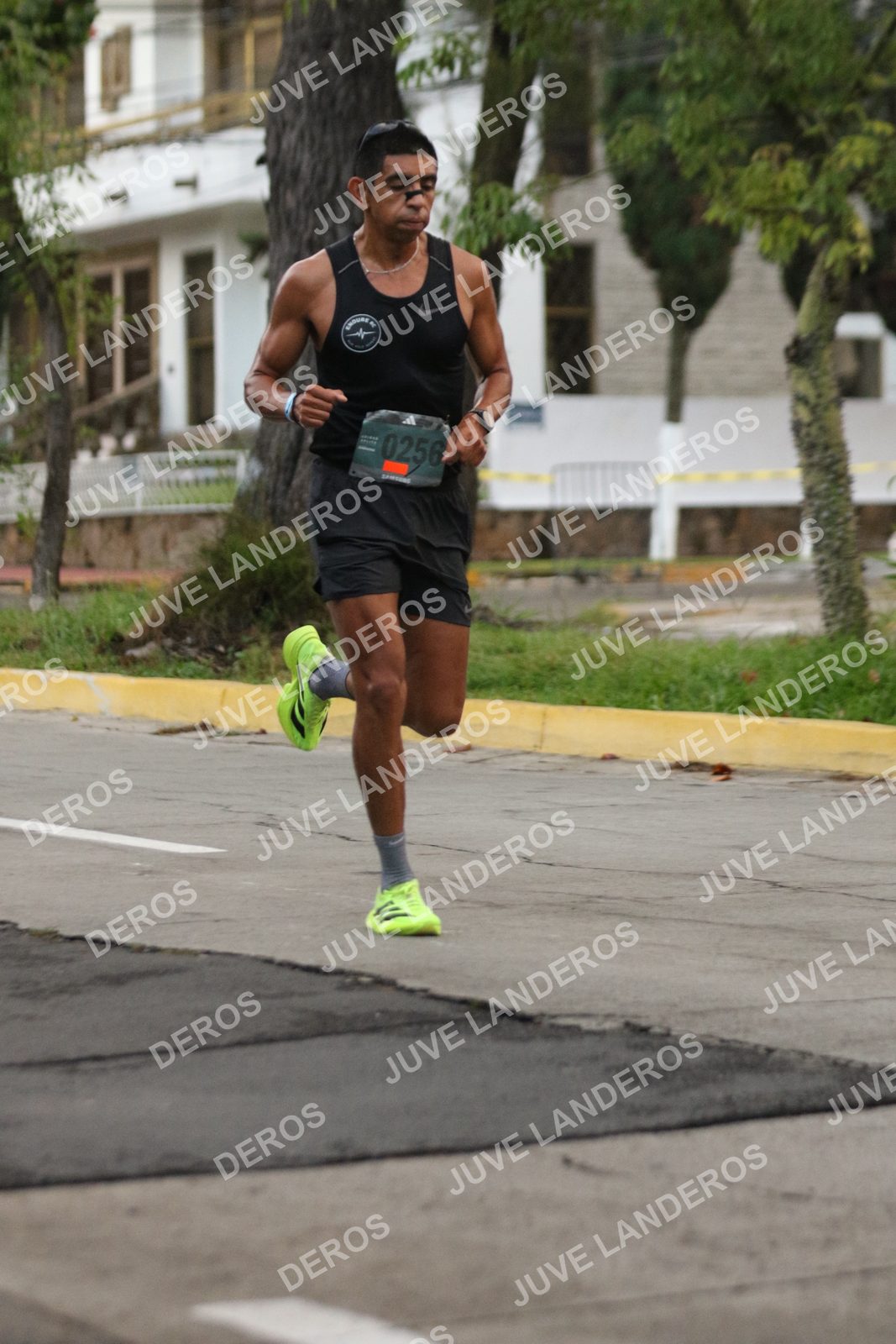 Foto de ADIDAS SPLITS GUADALAJARA 15K / 30K en Av. San Ignacio esquina Av. Ignacio L. Vallarta, Zapopan a las 06:49 · dorsal 256