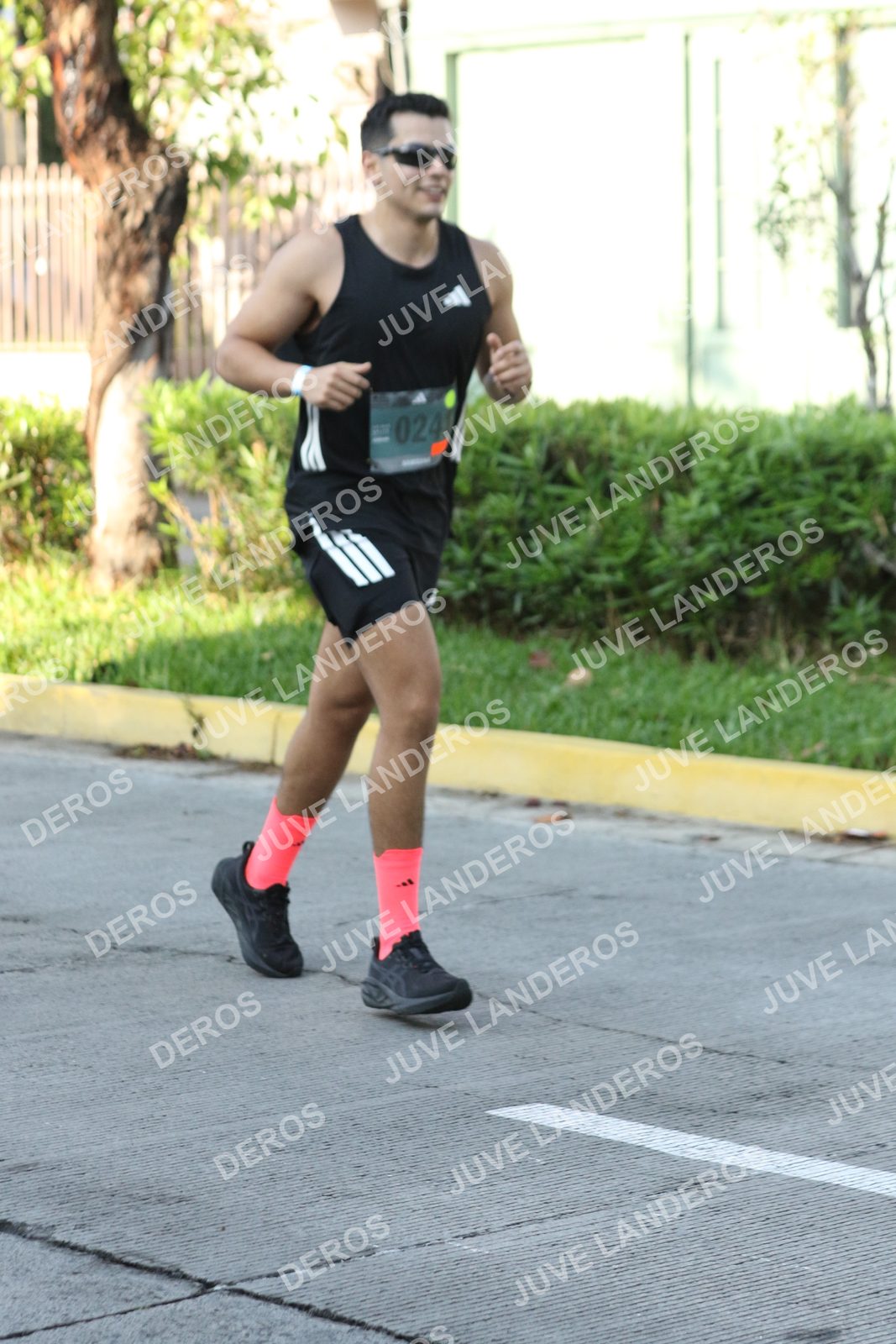 Foto de ADIDAS SPLITS GUADALAJARA 15K / 30K en Av. San Ignacio esquina Av. Ignacio L. Vallarta, Zapopan a las 08:09