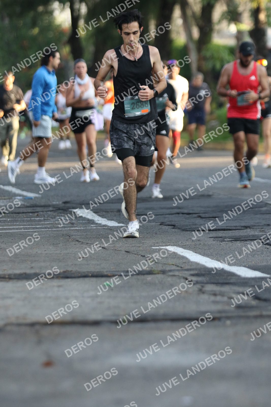 Foto de ADIDAS SPLITS GUADALAJARA 15K / 30K en Av. San Ignacio esquina Av. Ignacio L. Vallarta, Zapopan a las 07:29 · dorsal 2688