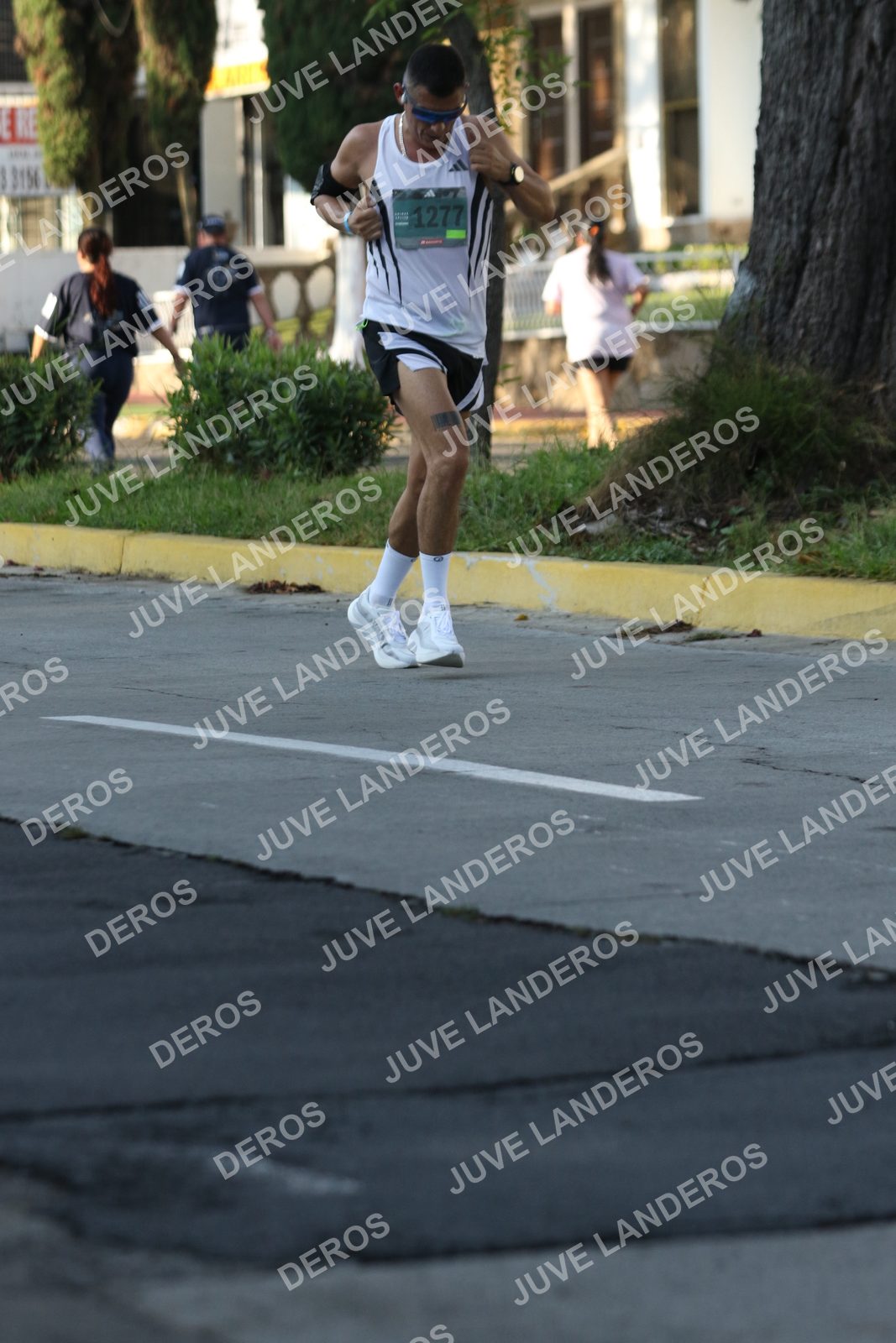 Foto de ADIDAS SPLITS GUADALAJARA 15K / 30K en Av. San Ignacio esquina Av. Ignacio L. Vallarta, Zapopan a las 08:05 · dorsal 1277, 3156