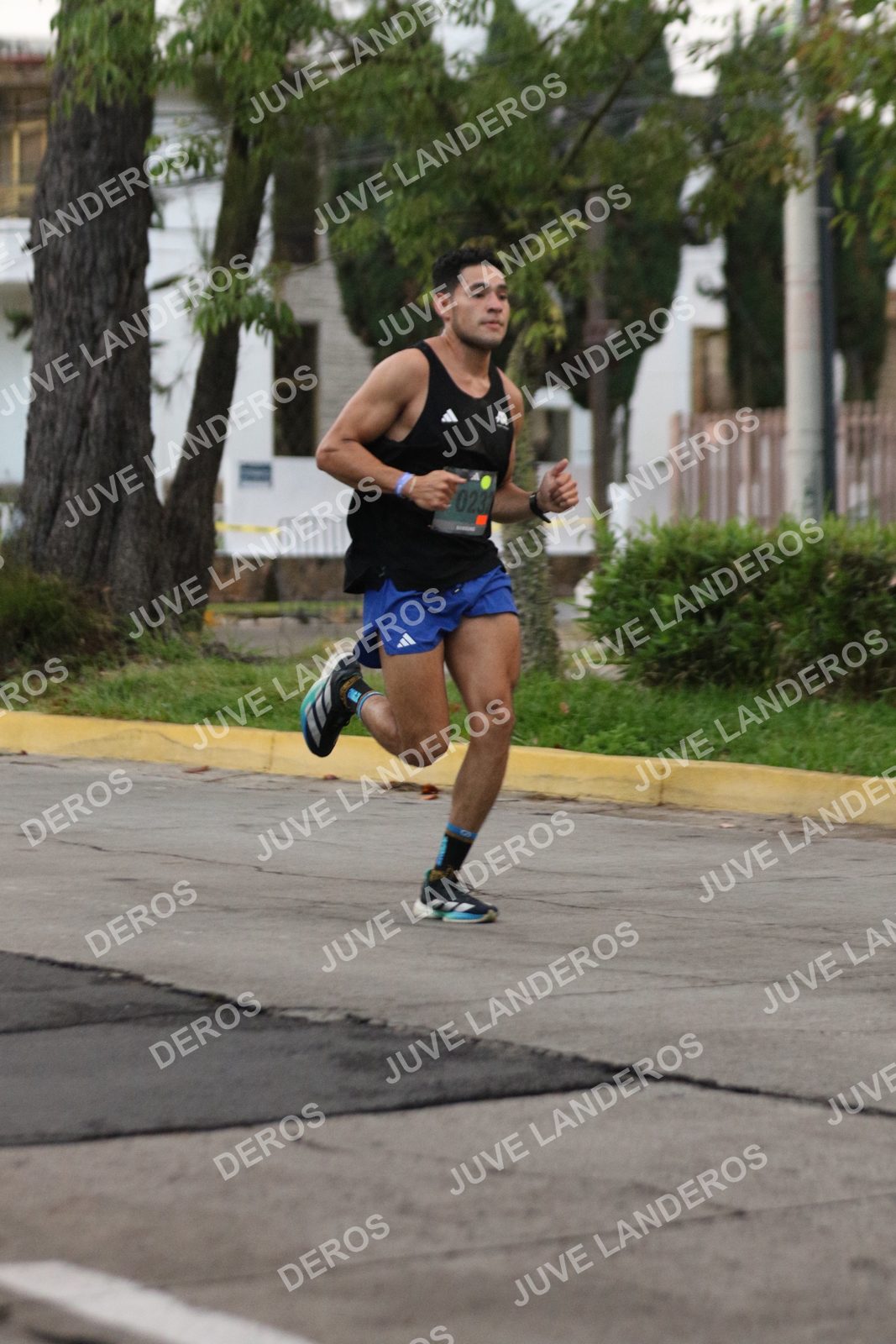 Foto de ADIDAS SPLITS GUADALAJARA 15K / 30K en Av. San Ignacio esquina Av. Ignacio L. Vallarta, Zapopan a las 06:46