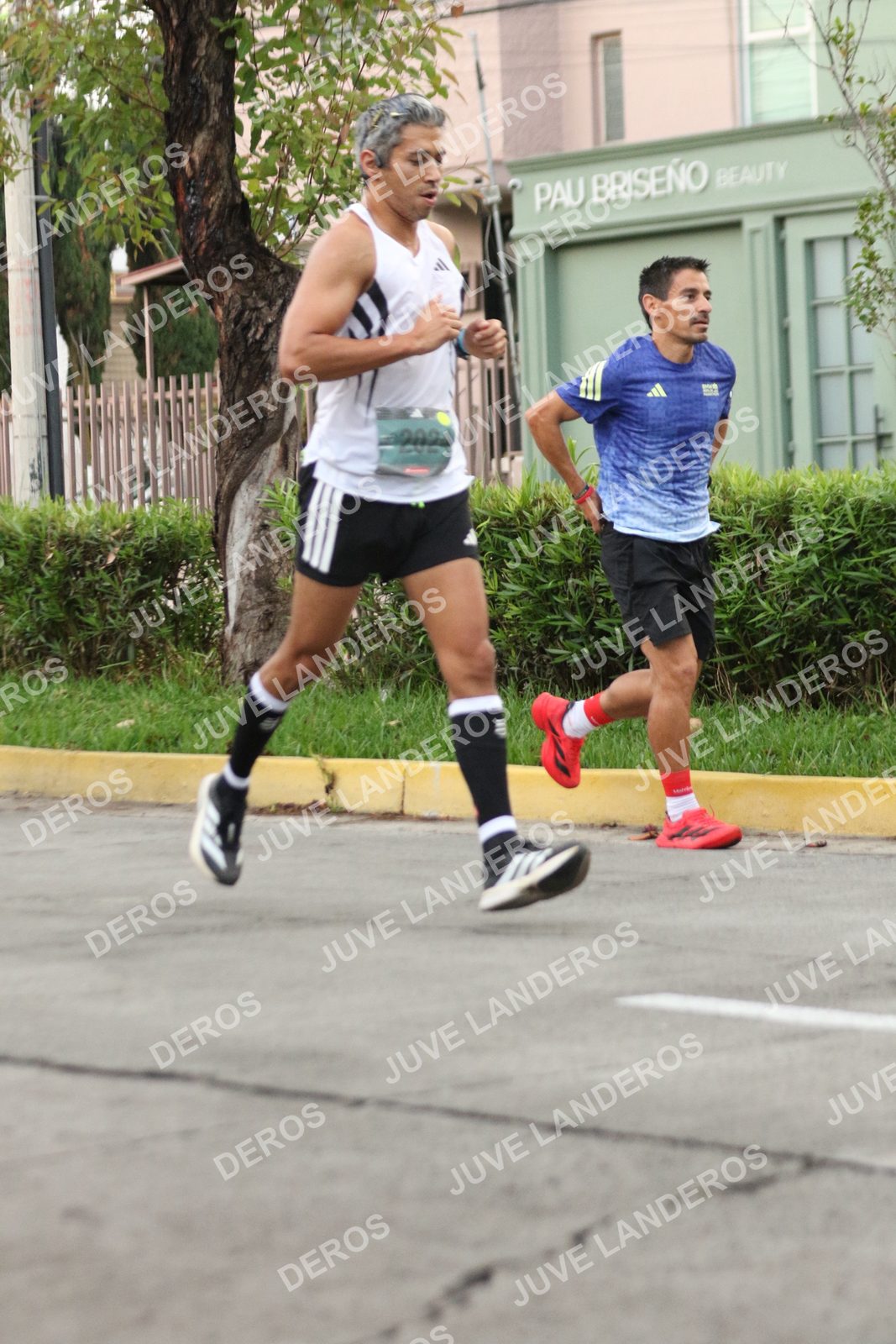 Foto de ADIDAS SPLITS GUADALAJARA 15K / 30K en Av. San Ignacio esquina Av. Ignacio L. Vallarta, Zapopan a las 06:52