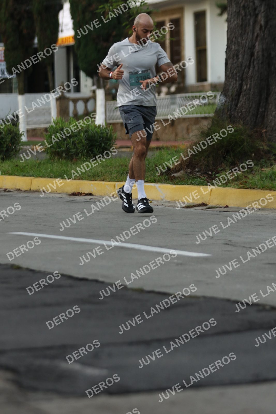 Foto de ADIDAS SPLITS GUADALAJARA 15K / 30K en Av. San Ignacio esquina Av. Ignacio L. Vallarta, Zapopan a las 07:02 · dorsal 3799