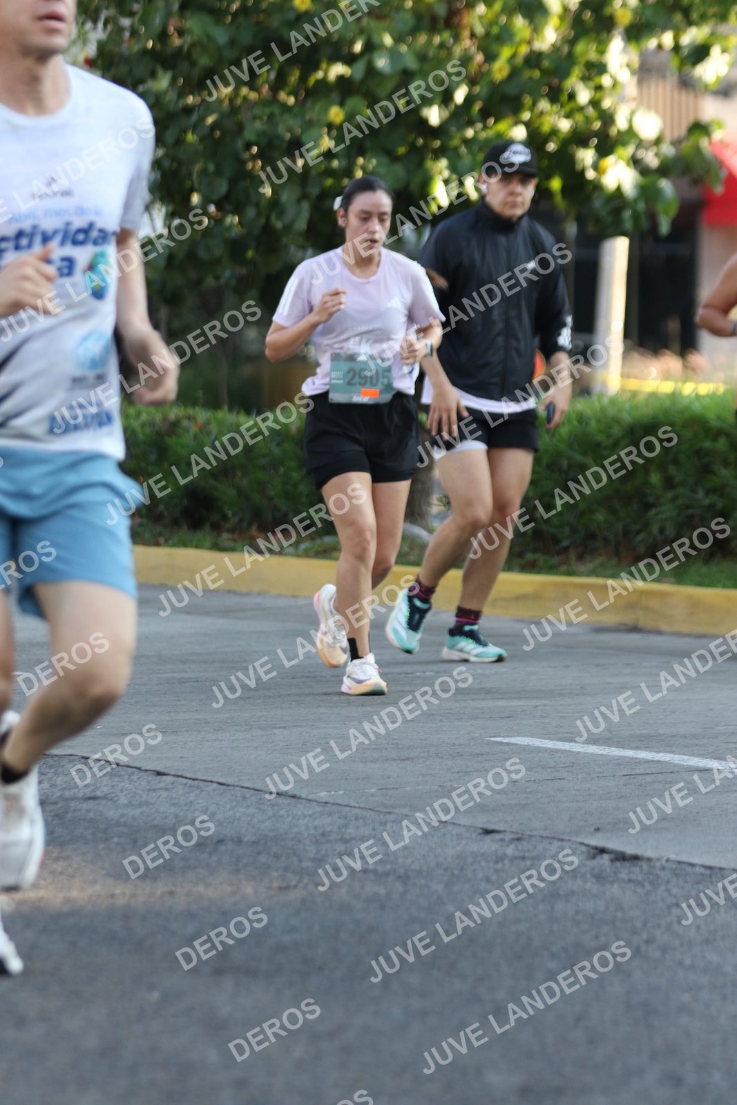 Foto de ADIDAS SPLITS GUADALAJARA 15K / 30K en Av. San Ignacio esquina Av. Ignacio L. Vallarta, Zapopan a las 07:49 · dorsal 2905