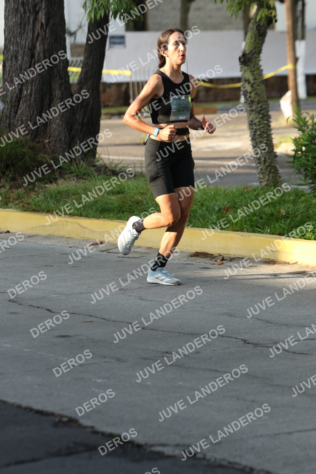 Foto de ADIDAS SPLITS GUADALAJARA 15K / 30K en Av. San Ignacio esquina Av. Ignacio L. Vallarta, Zapopan a las 08:13 · dorsal 290