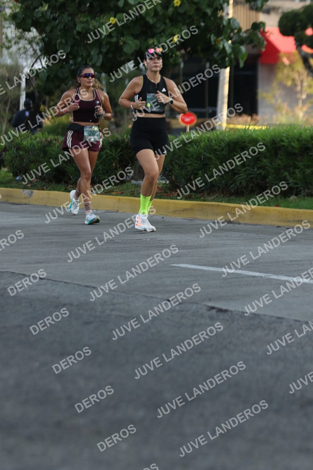 Foto de ADIDAS SPLITS GUADALAJARA 15K / 30K en Av. San Ignacio esquina Av. Ignacio L. Vallarta, Zapopan a las 07:29