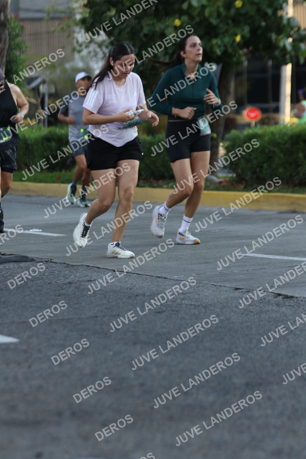 Foto de ADIDAS SPLITS GUADALAJARA 15K / 30K en Av. San Ignacio esquina Av. Ignacio L. Vallarta, Zapopan a las 07:38 · dorsal 900