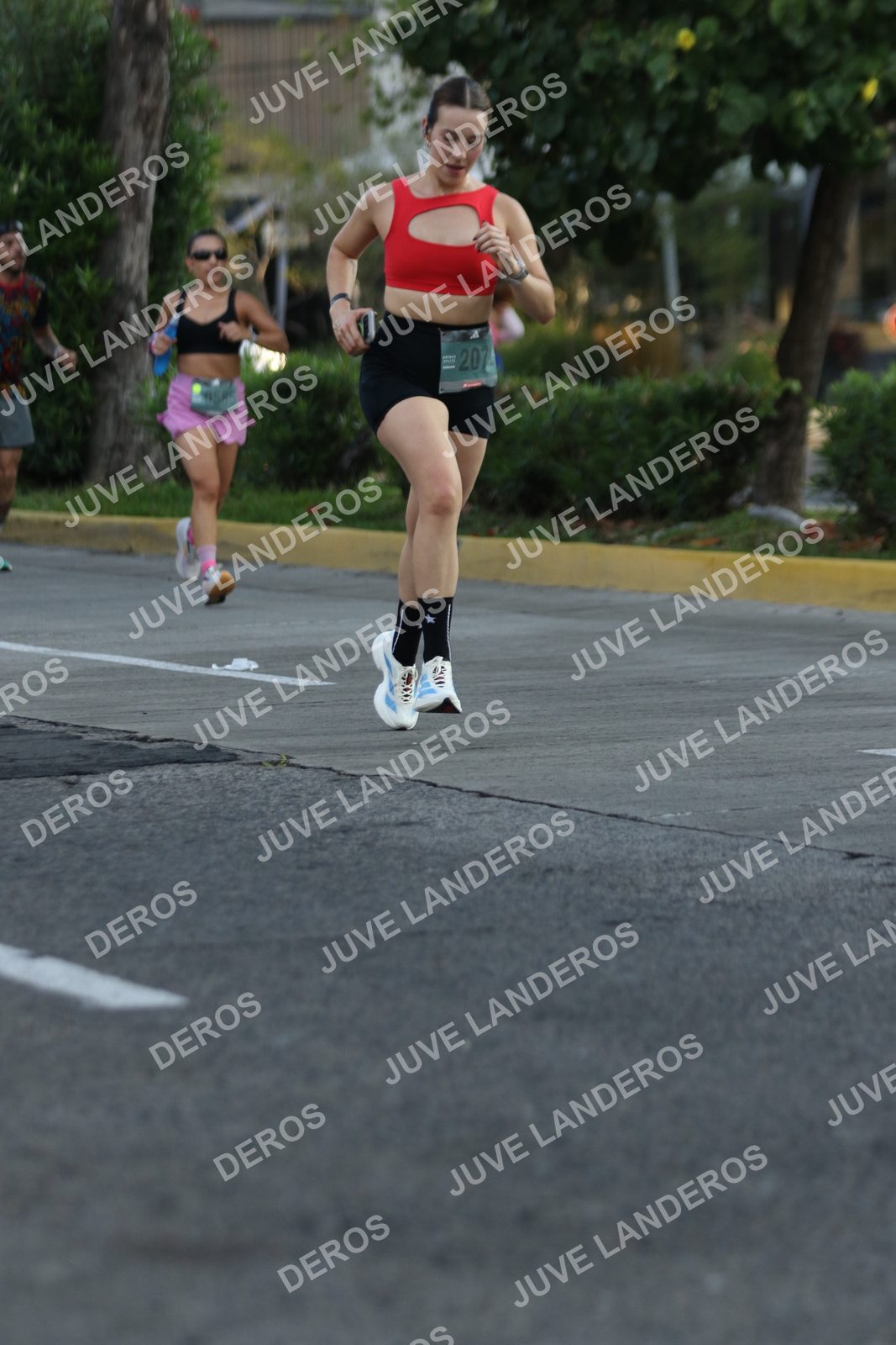 Foto de ADIDAS SPLITS GUADALAJARA 15K / 30K en Av. San Ignacio esquina Av. Ignacio L. Vallarta, Zapopan a las 07:29 · dorsal 207