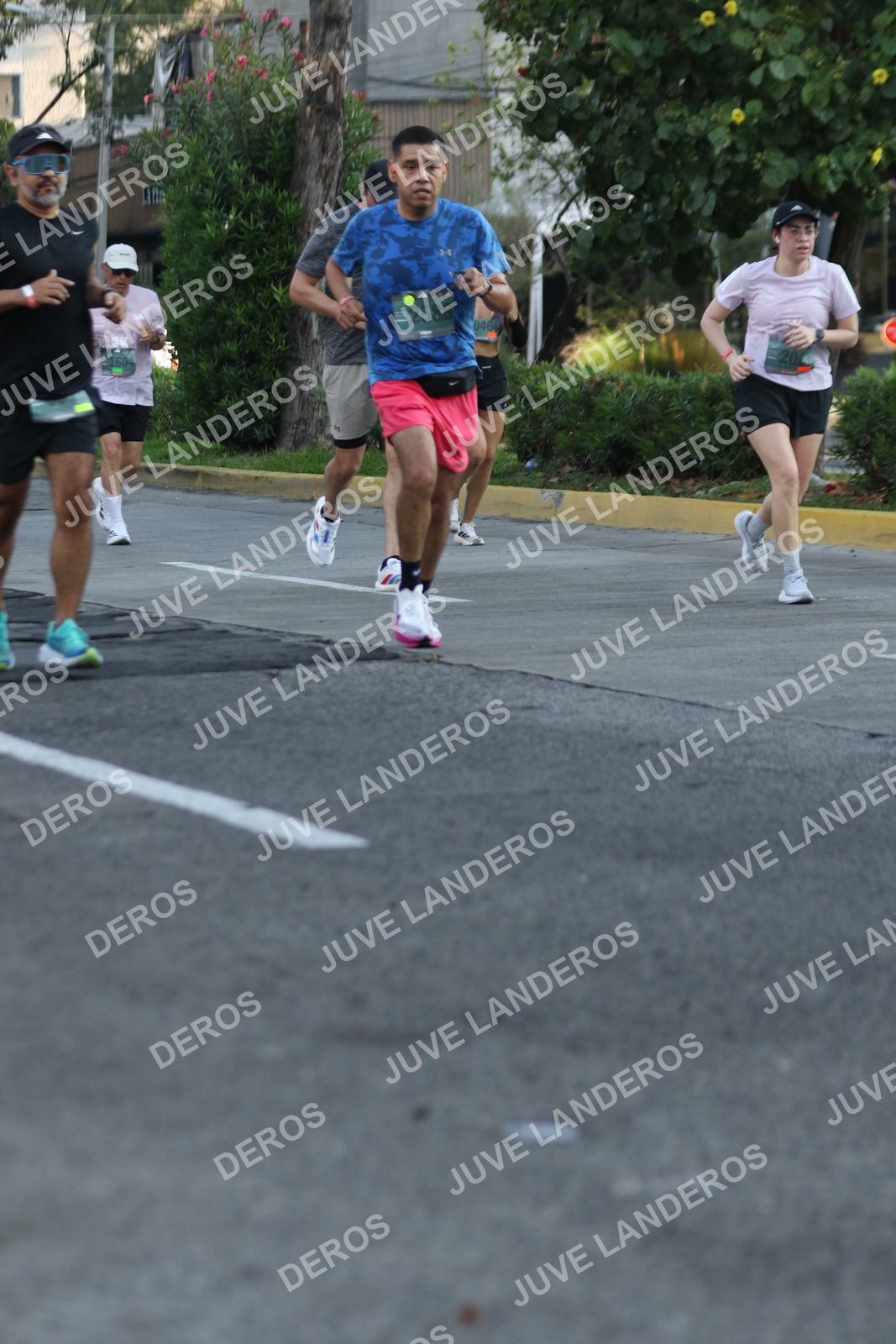 Foto de ADIDAS SPLITS GUADALAJARA 15K / 30K en Av. San Ignacio esquina Av. Ignacio L. Vallarta, Zapopan a las 07:35 · dorsal 2588
