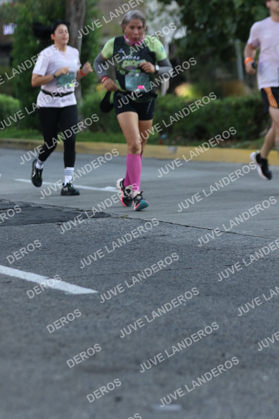 Foto de ADIDAS SPLITS GUADALAJARA 15K / 30K en Av. San Ignacio esquina Av. Ignacio L. Vallarta, Zapopan a las 07:43 · dorsal 3659