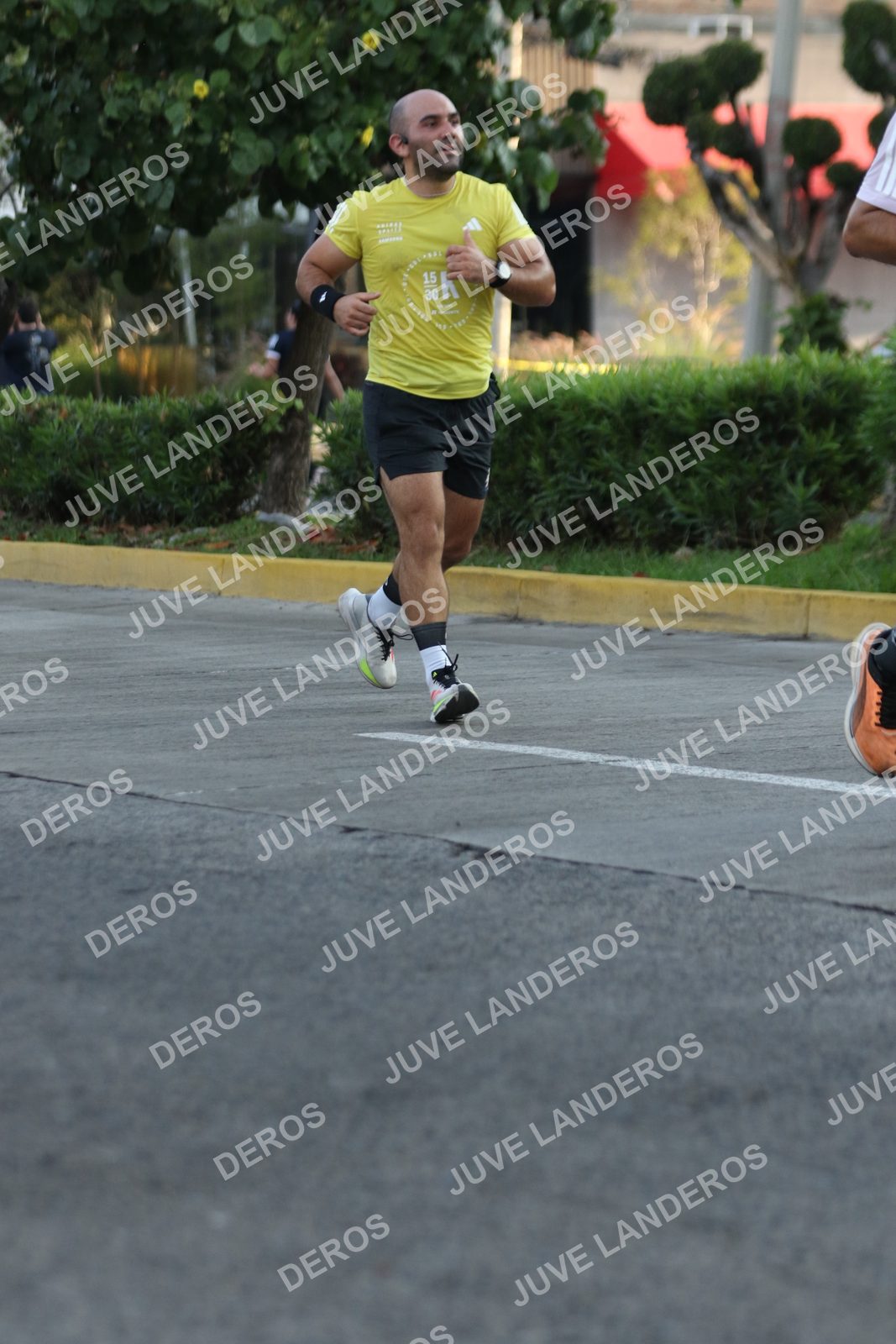 Foto de ADIDAS SPLITS GUADALAJARA 15K / 30K en Av. San Ignacio esquina Av. Ignacio L. Vallarta, Zapopan a las 07:30