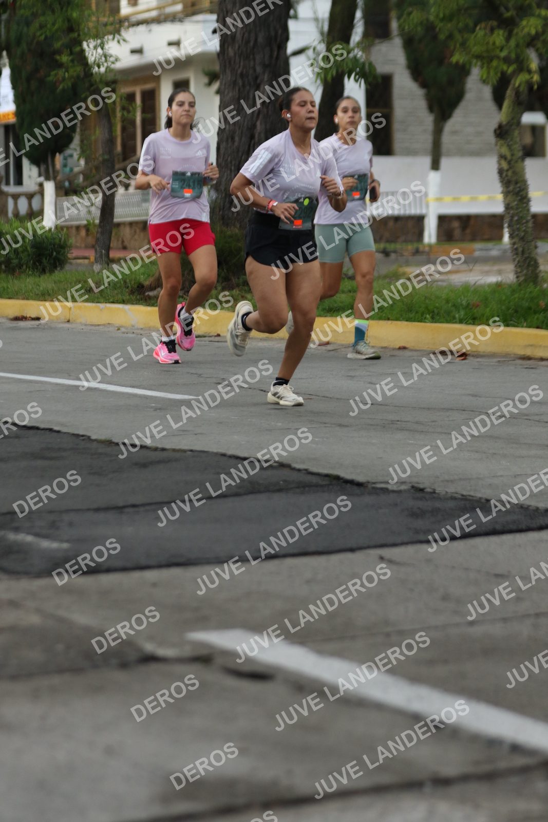 Foto de ADIDAS SPLITS GUADALAJARA 15K / 30K en Av. San Ignacio esquina Av. Ignacio L. Vallarta, Zapopan a las 07:00