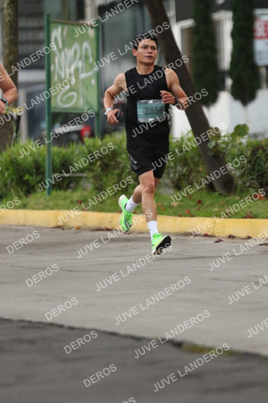 Foto de ADIDAS SPLITS GUADALAJARA 15K / 30K en Av. San Ignacio esquina Av. Ignacio L. Vallarta, Zapopan a las 06:50 · dorsal 2556