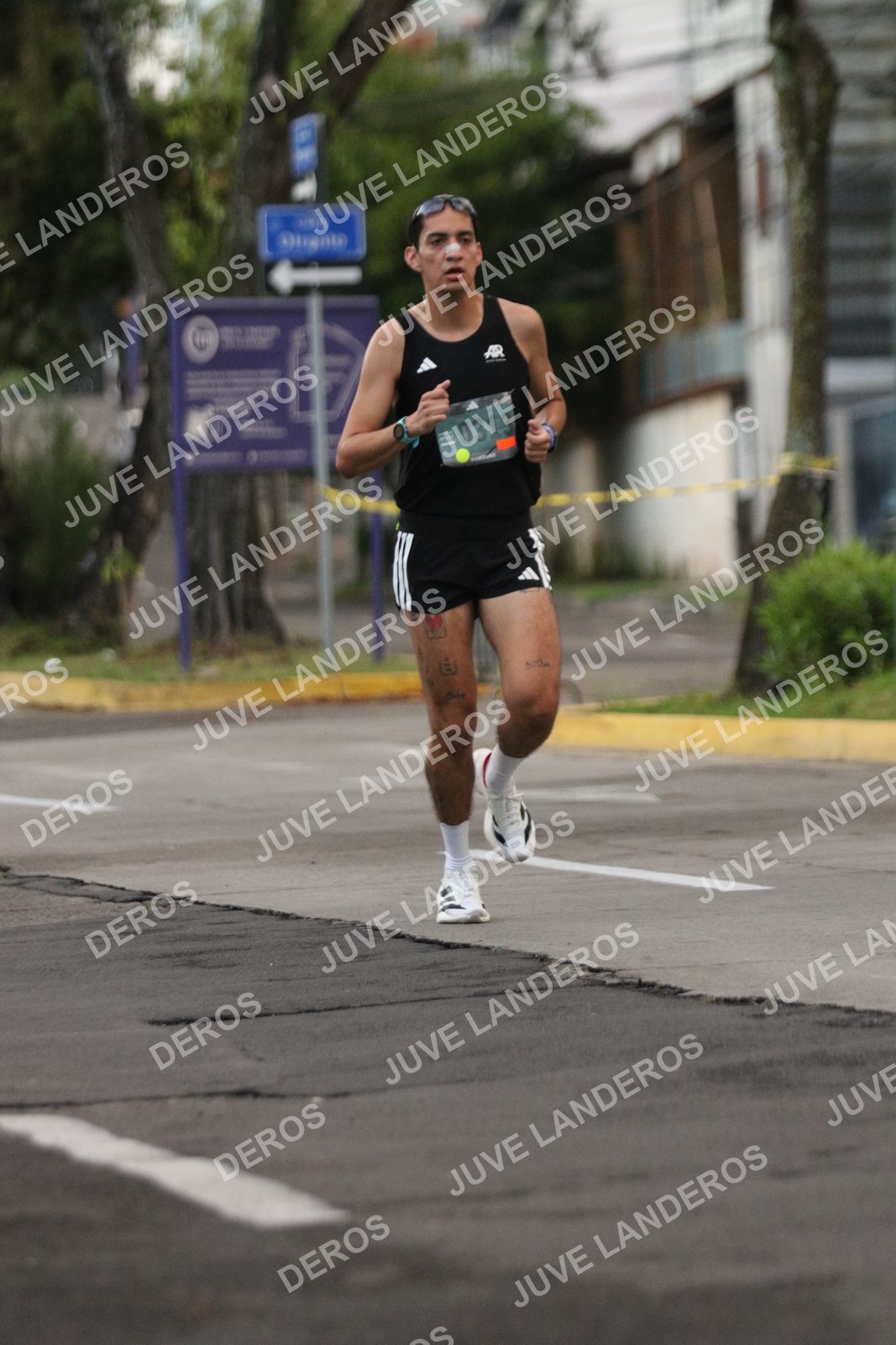 Foto de ADIDAS SPLITS GUADALAJARA 15K / 30K en Av. San Ignacio esquina Av. Ignacio L. Vallarta, Zapopan a las 06:47 · dorsal 313