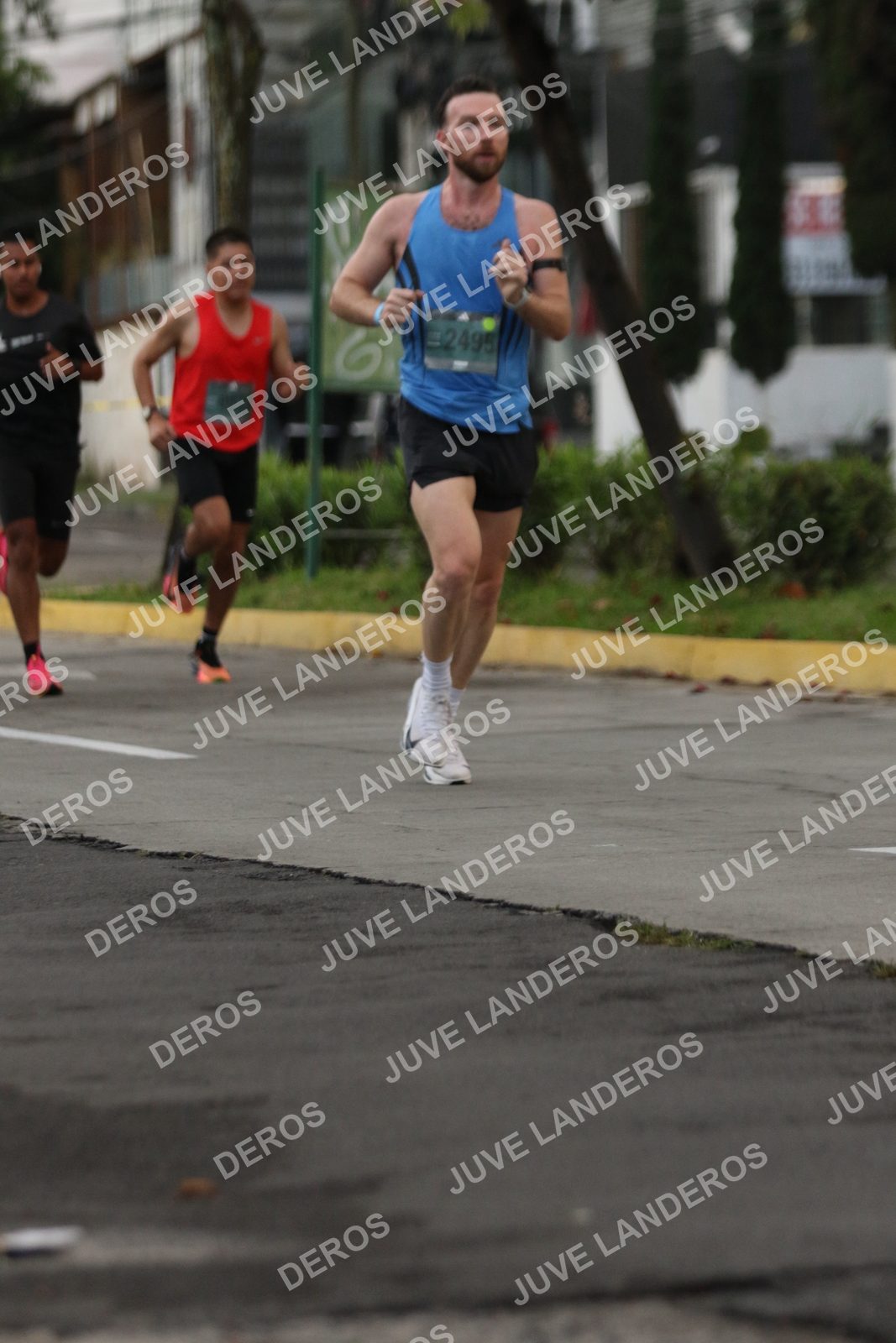 Foto de ADIDAS SPLITS GUADALAJARA 15K / 30K en Av. San Ignacio esquina Av. Ignacio L. Vallarta, Zapopan a las 06:50