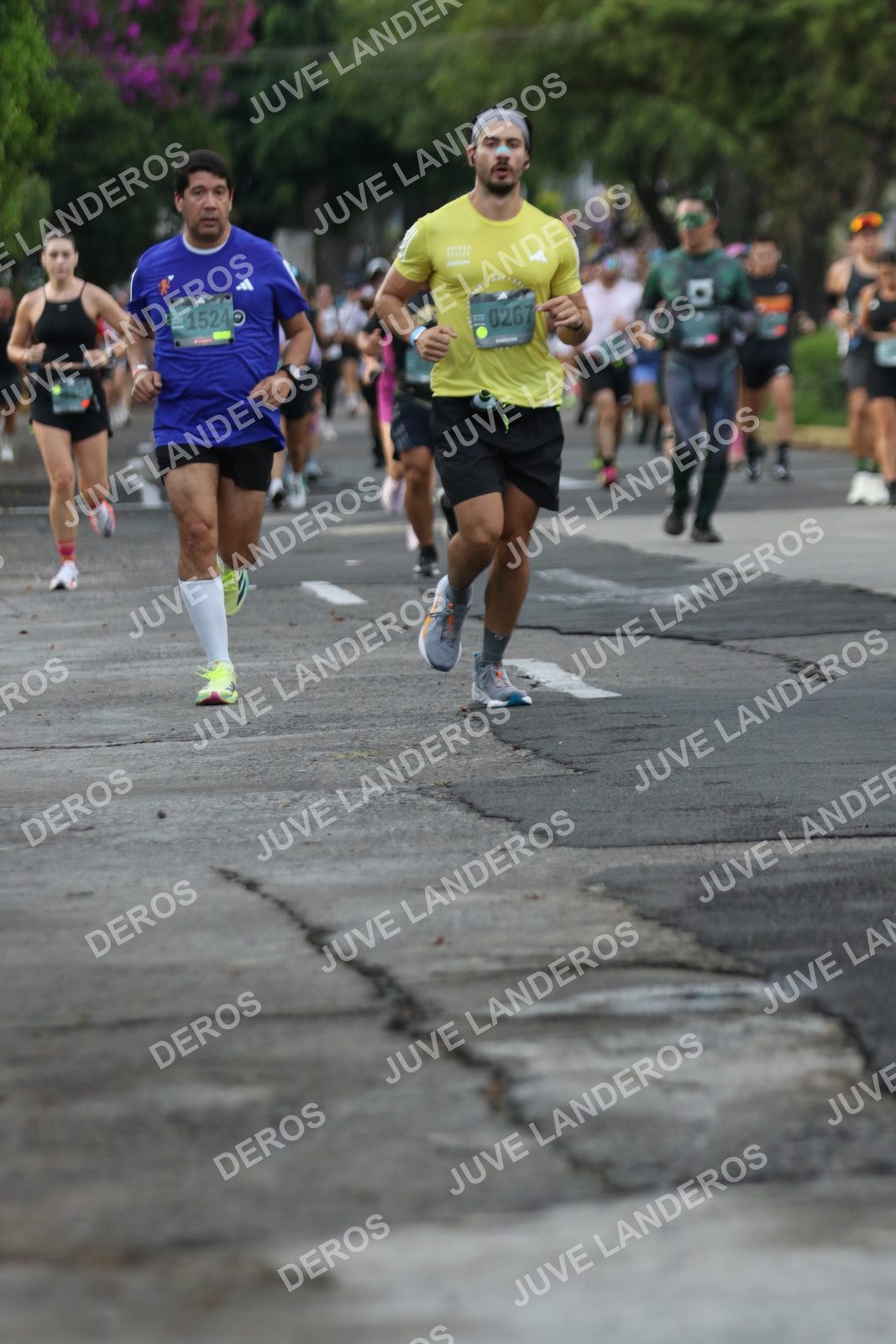 Foto de ADIDAS SPLITS GUADALAJARA 15K / 30K en Av. San Ignacio esquina Av. Ignacio L. Vallarta, Zapopan a las 07:06 · dorsal 267