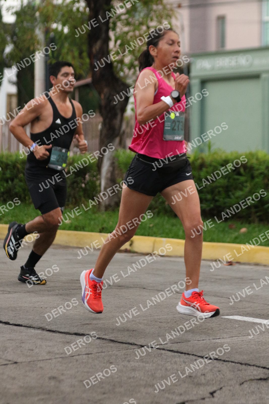 Foto de ADIDAS SPLITS GUADALAJARA 15K / 30K en Av. San Ignacio esquina Av. Ignacio L. Vallarta, Zapopan a las 06:48 · dorsal 273, 254