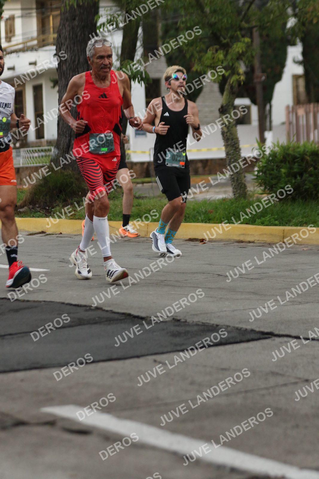 Foto de ADIDAS SPLITS GUADALAJARA 15K / 30K en Av. San Ignacio esquina Av. Ignacio L. Vallarta, Zapopan a las 06:54 · dorsal 2856, 724, 328