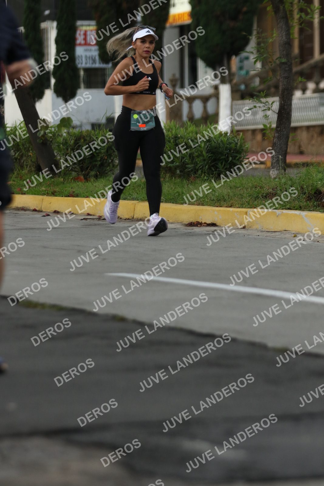 Foto de ADIDAS SPLITS GUADALAJARA 15K / 30K en Av. San Ignacio esquina Av. Ignacio L. Vallarta, Zapopan a las 06:59 · dorsal 3184, 3156