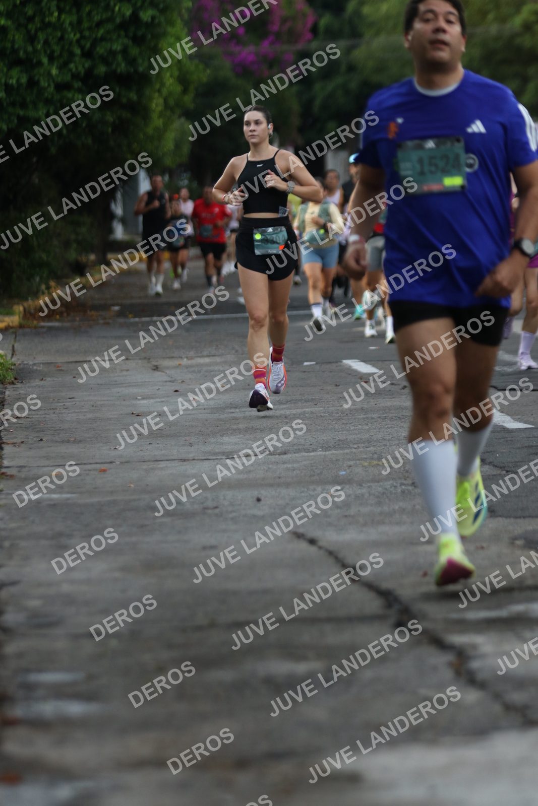 Foto de ADIDAS SPLITS GUADALAJARA 15K / 30K en Av. San Ignacio esquina Av. Ignacio L. Vallarta, Zapopan a las 07:06 · dorsal 1524
