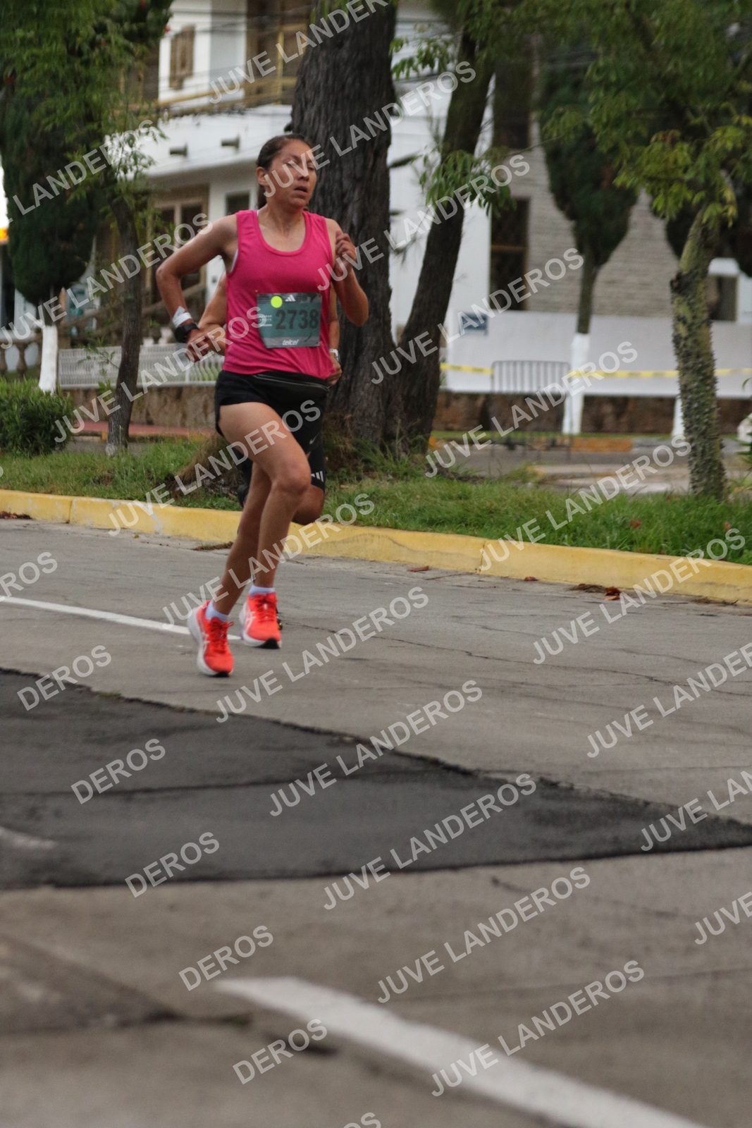 Foto de ADIDAS SPLITS GUADALAJARA 15K / 30K en Av. San Ignacio esquina Av. Ignacio L. Vallarta, Zapopan a las 06:48 · dorsal 2738