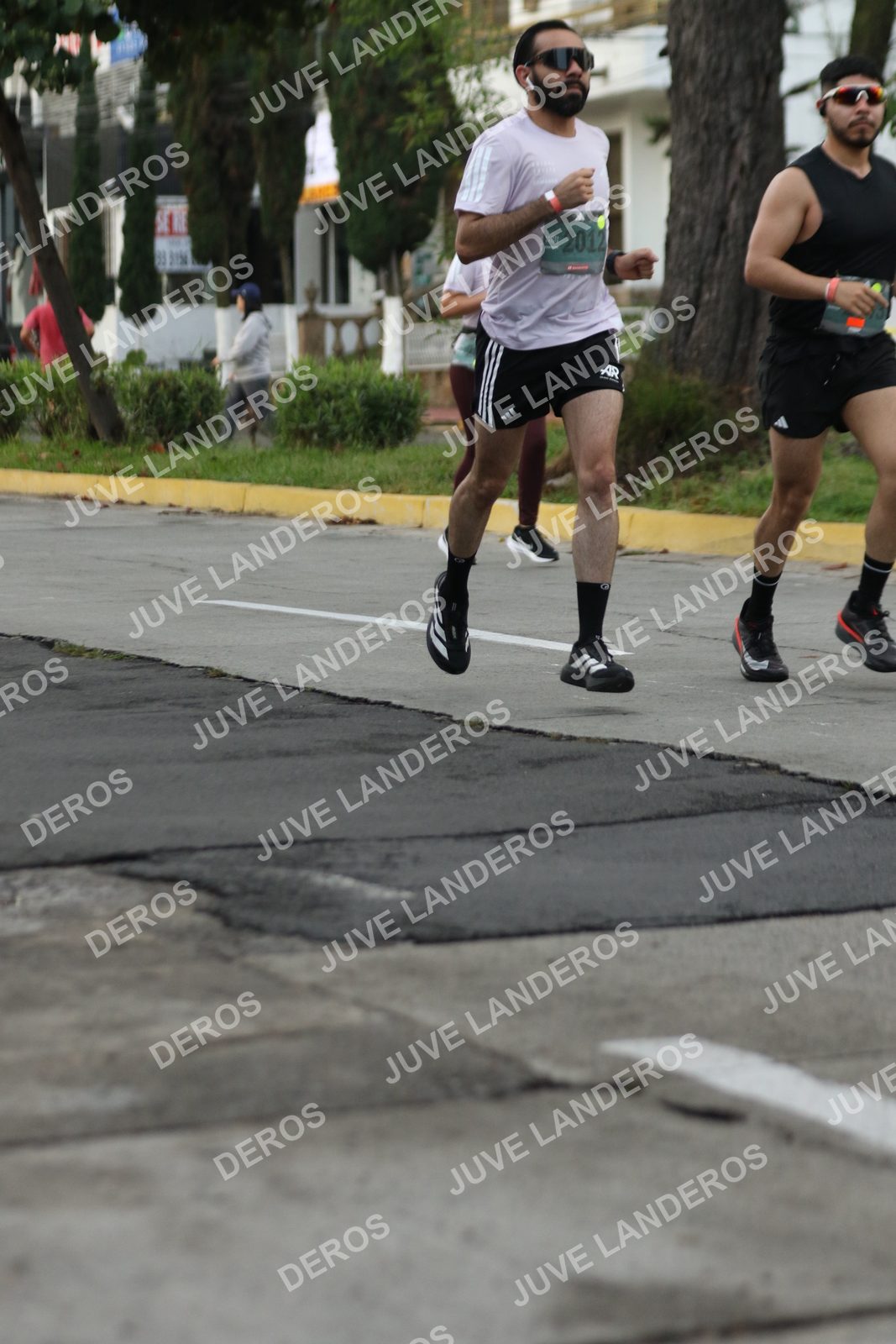 Foto de ADIDAS SPLITS GUADALAJARA 15K / 30K en Av. San Ignacio esquina Av. Ignacio L. Vallarta, Zapopan a las 07:00 · dorsal 2012