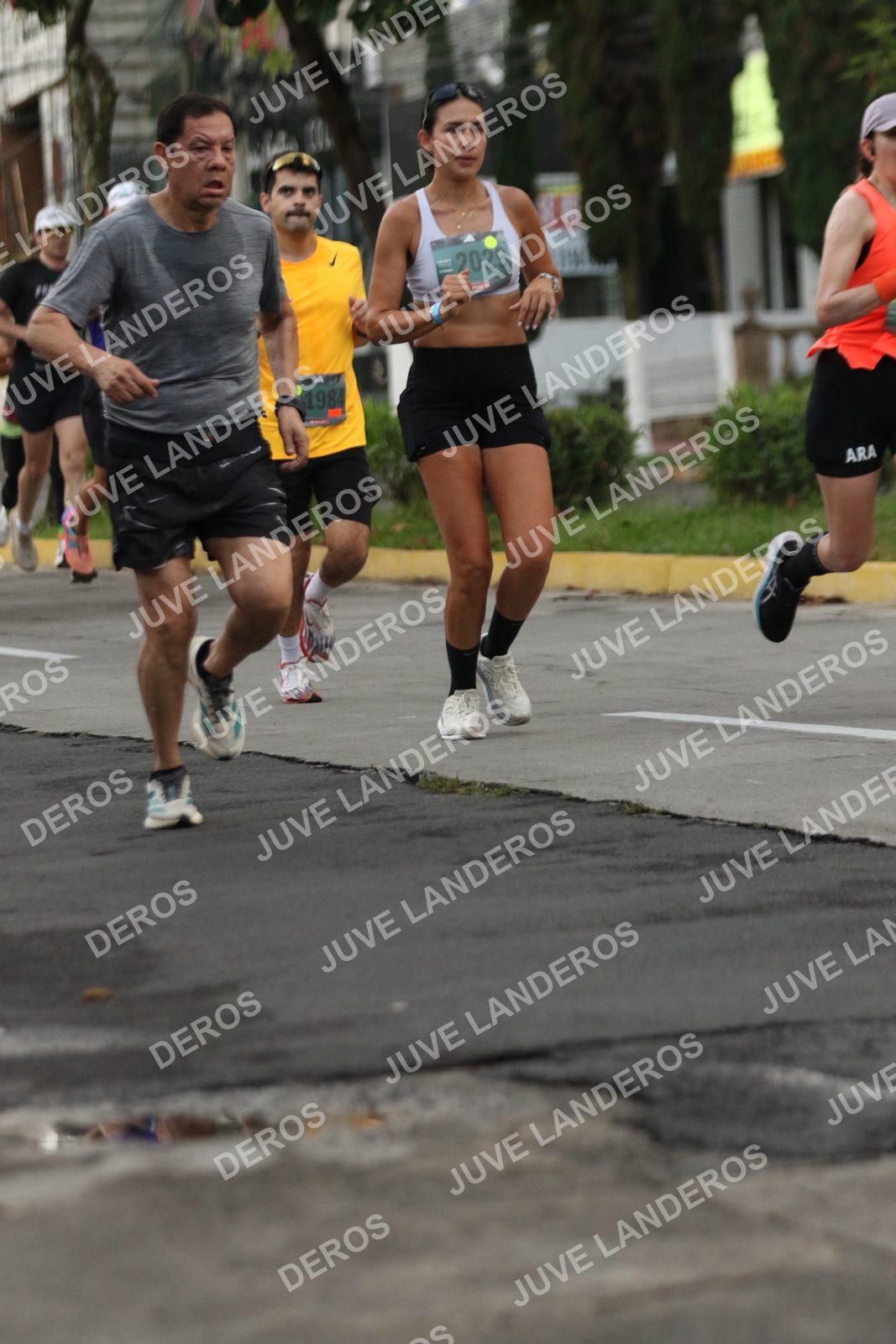 Foto de ADIDAS SPLITS GUADALAJARA 15K / 30K en Av. San Ignacio esquina Av. Ignacio L. Vallarta, Zapopan a las 06:54 · dorsal 2029, 1984