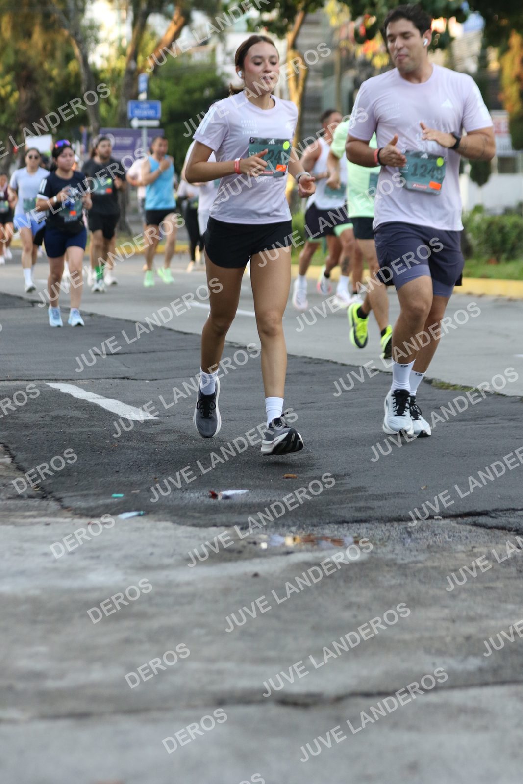Foto de ADIDAS SPLITS GUADALAJARA 15K / 30K en Av. San Ignacio esquina Av. Ignacio L. Vallarta, Zapopan a las 07:10 · dorsal 247, 1249