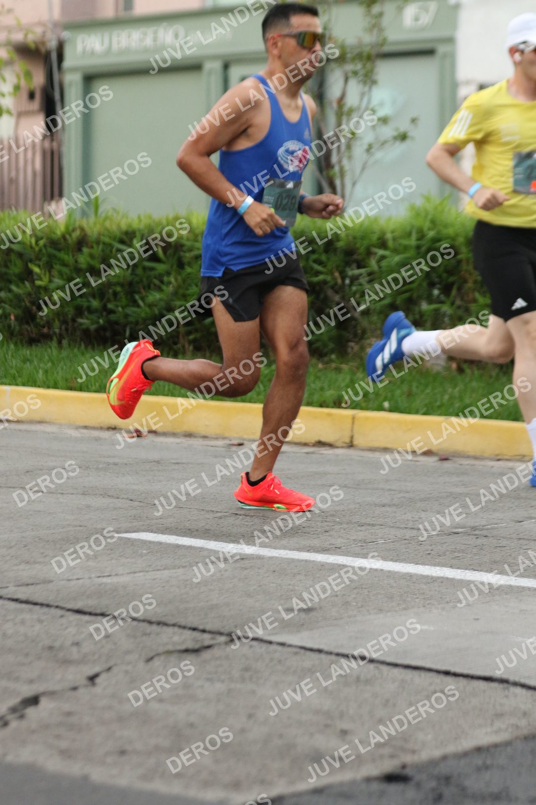 Foto de ADIDAS SPLITS GUADALAJARA 15K / 30K en Av. San Ignacio esquina Av. Ignacio L. Vallarta, Zapopan a las 06:54 · dorsal 29