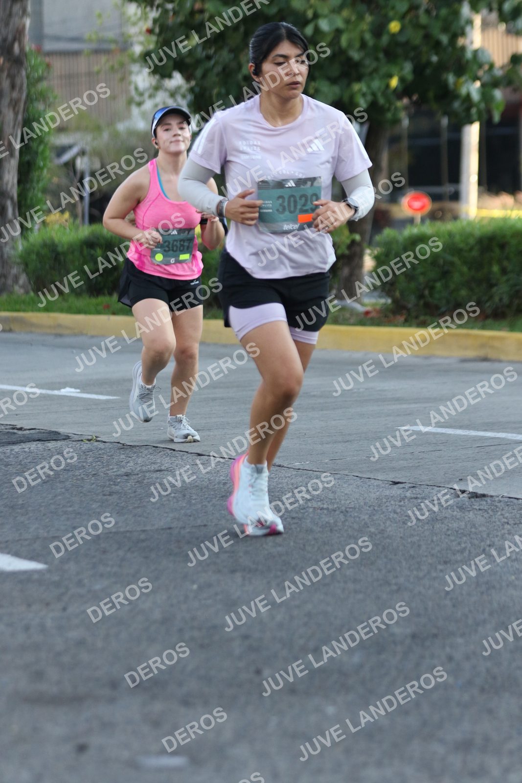 Foto de ADIDAS SPLITS GUADALAJARA 15K / 30K en Av. San Ignacio esquina Av. Ignacio L. Vallarta, Zapopan a las 07:41 · dorsal 3029