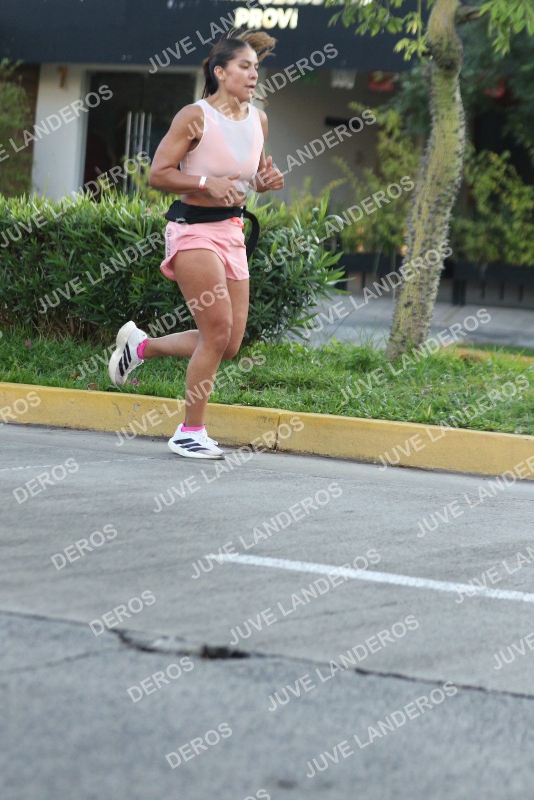 Foto de ADIDAS SPLITS GUADALAJARA 15K / 30K en Av. San Ignacio esquina Av. Ignacio L. Vallarta, Zapopan a las 07:32