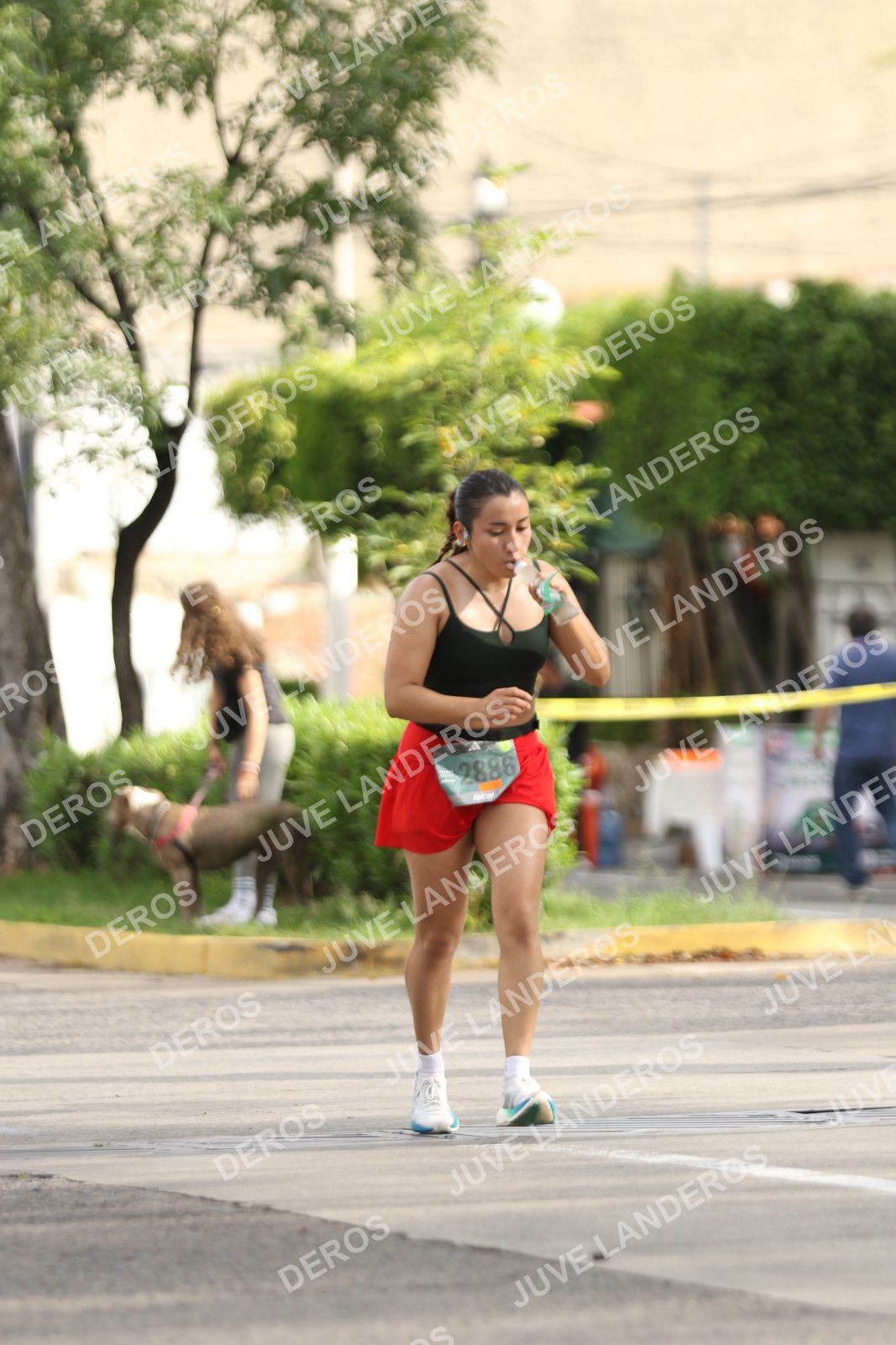 Foto de ADIDAS SPLITS GUADALAJARA 15K / 30K en Av. San Ignacio esquina Av. Ignacio L. Vallarta, Zapopan a las 09:11 · dorsal 2886