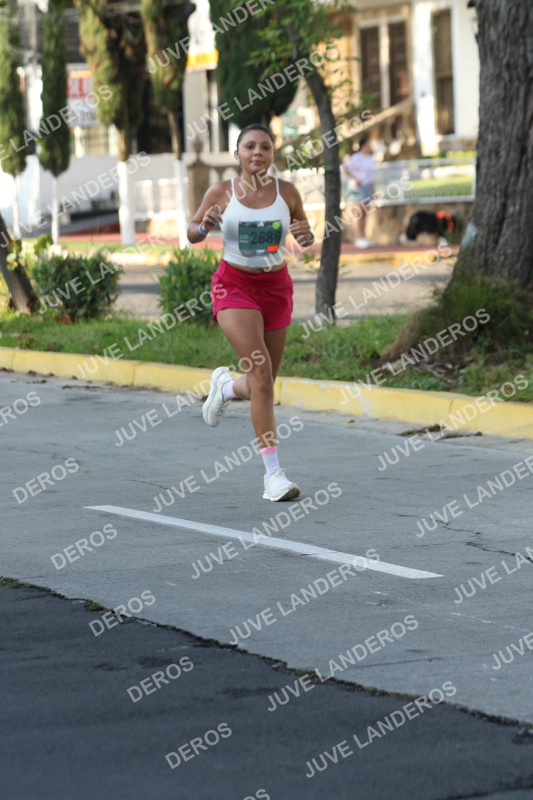 Foto de ADIDAS SPLITS GUADALAJARA 15K / 30K en Av. San Ignacio esquina Av. Ignacio L. Vallarta, Zapopan a las 08:10 · dorsal 2686