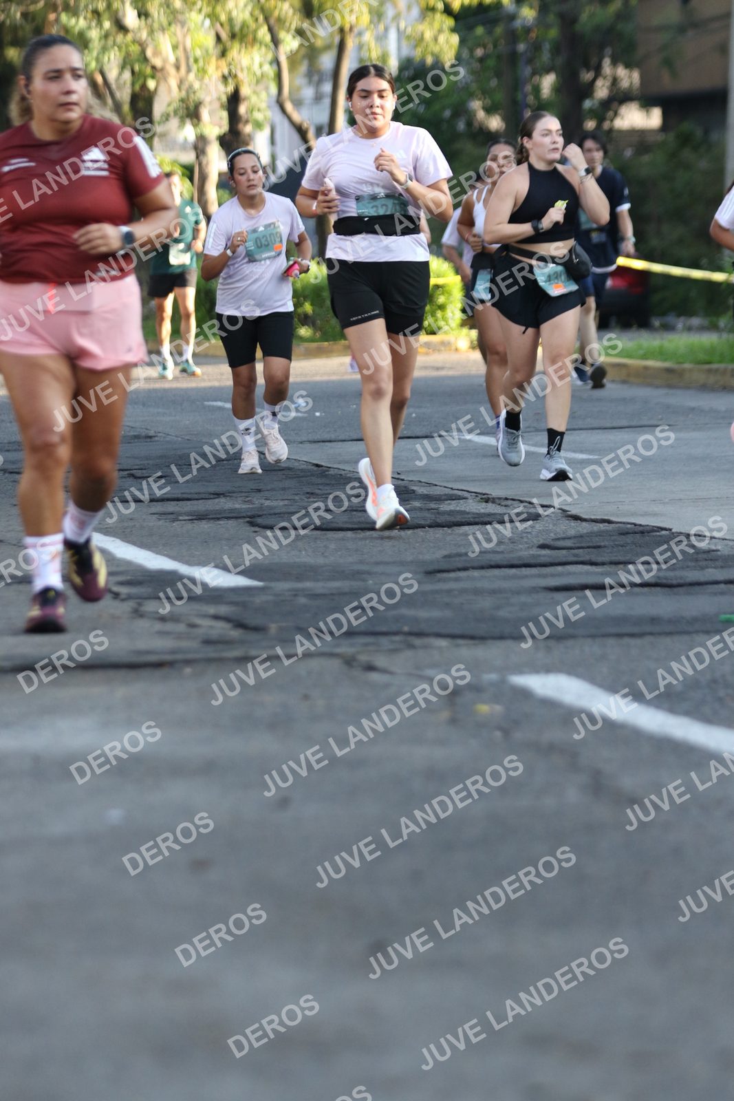 Foto de ADIDAS SPLITS GUADALAJARA 15K / 30K en Av. San Ignacio esquina Av. Ignacio L. Vallarta, Zapopan a las 07:44 · dorsal 309