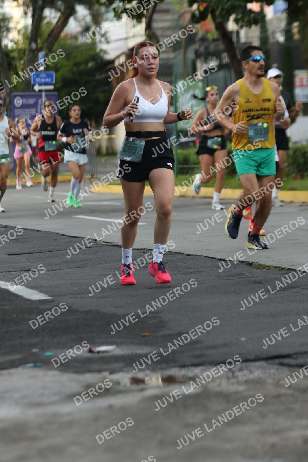 Foto de ADIDAS SPLITS GUADALAJARA 15K / 30K en Av. San Ignacio esquina Av. Ignacio L. Vallarta, Zapopan a las 07:04 · dorsal 2892, 173