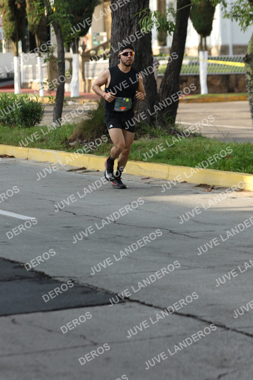 Foto de ADIDAS SPLITS GUADALAJARA 15K / 30K en Av. San Ignacio esquina Av. Ignacio L. Vallarta, Zapopan a las 08:15 · dorsal 2443