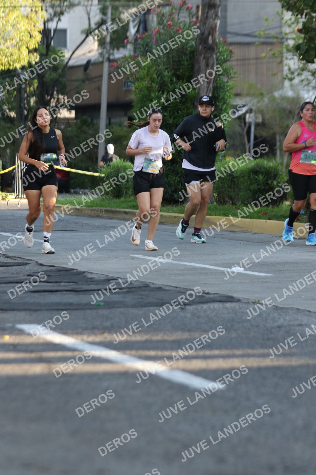 Foto de ADIDAS SPLITS GUADALAJARA 15K / 30K en Av. San Ignacio esquina Av. Ignacio L. Vallarta, Zapopan a las 07:49 · dorsal 1431